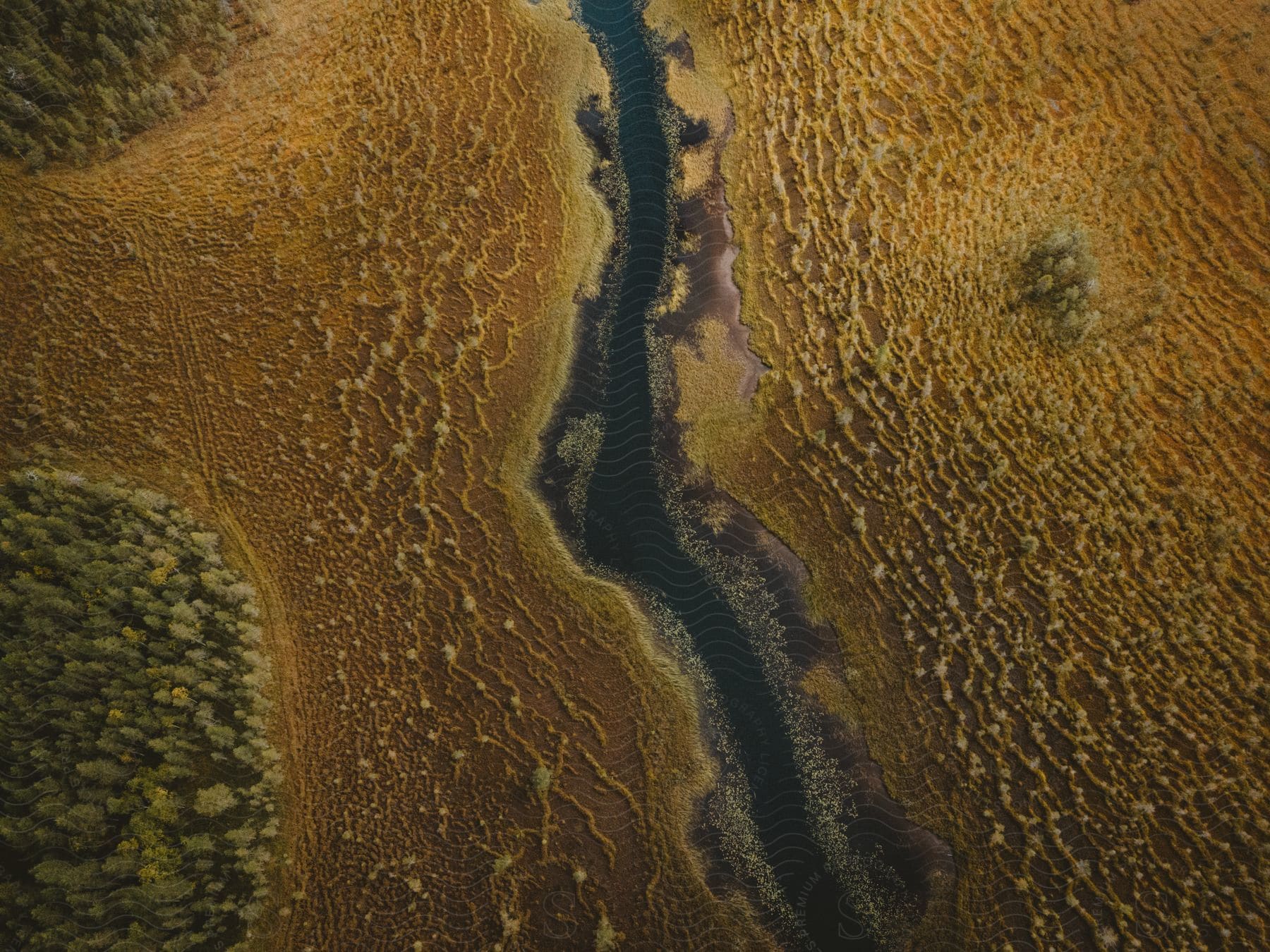 A stream surrounded by sand and trees is viewed from above