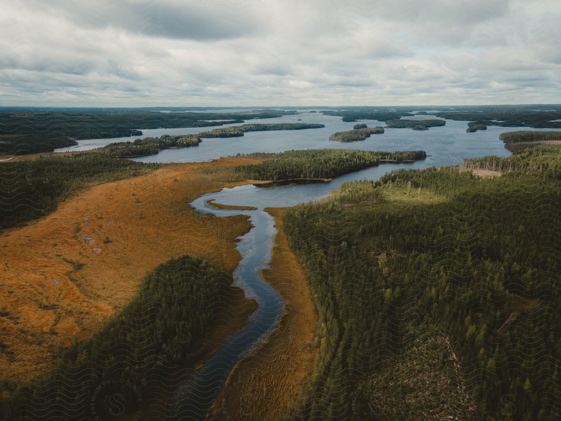 A stream flows through a forest into a larger river in the wild taiga of northern finland