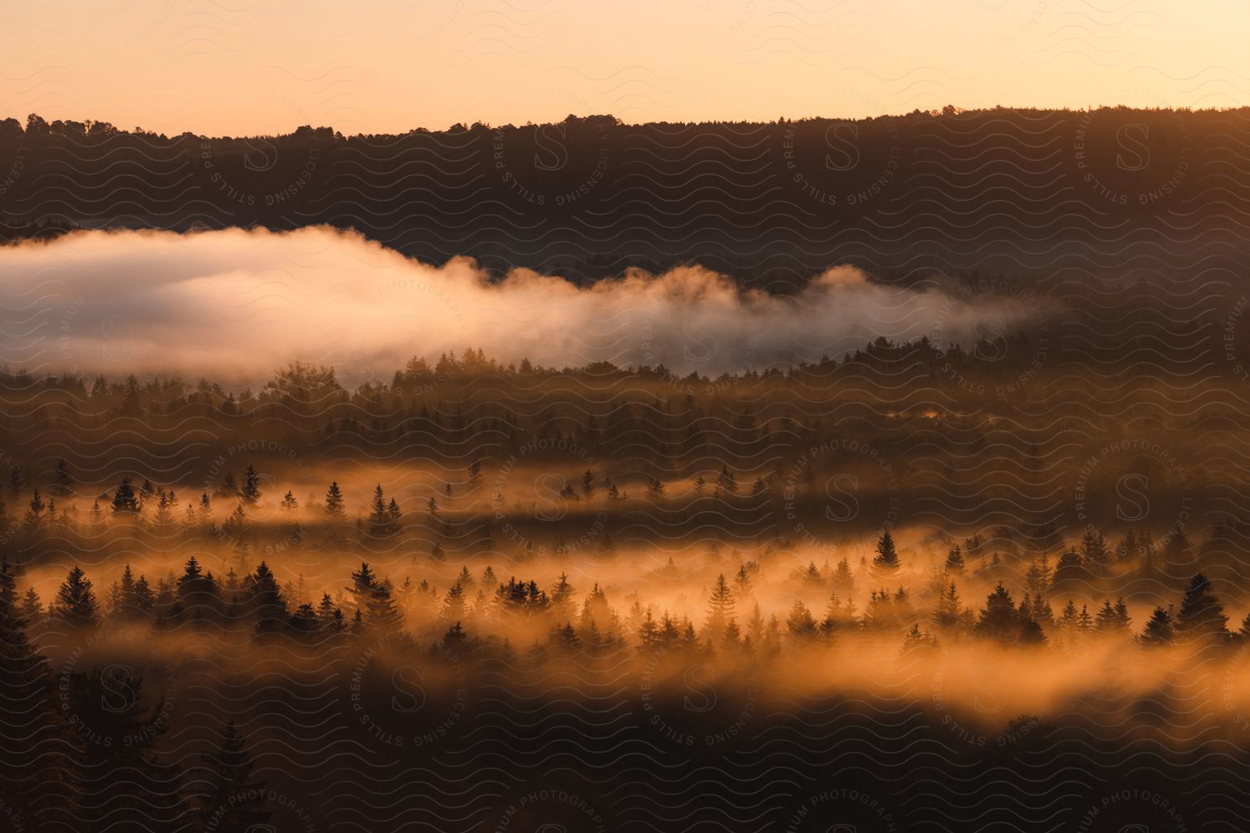 Foggy valley with trees and a hill in the background at sunset with low clouds in the sky