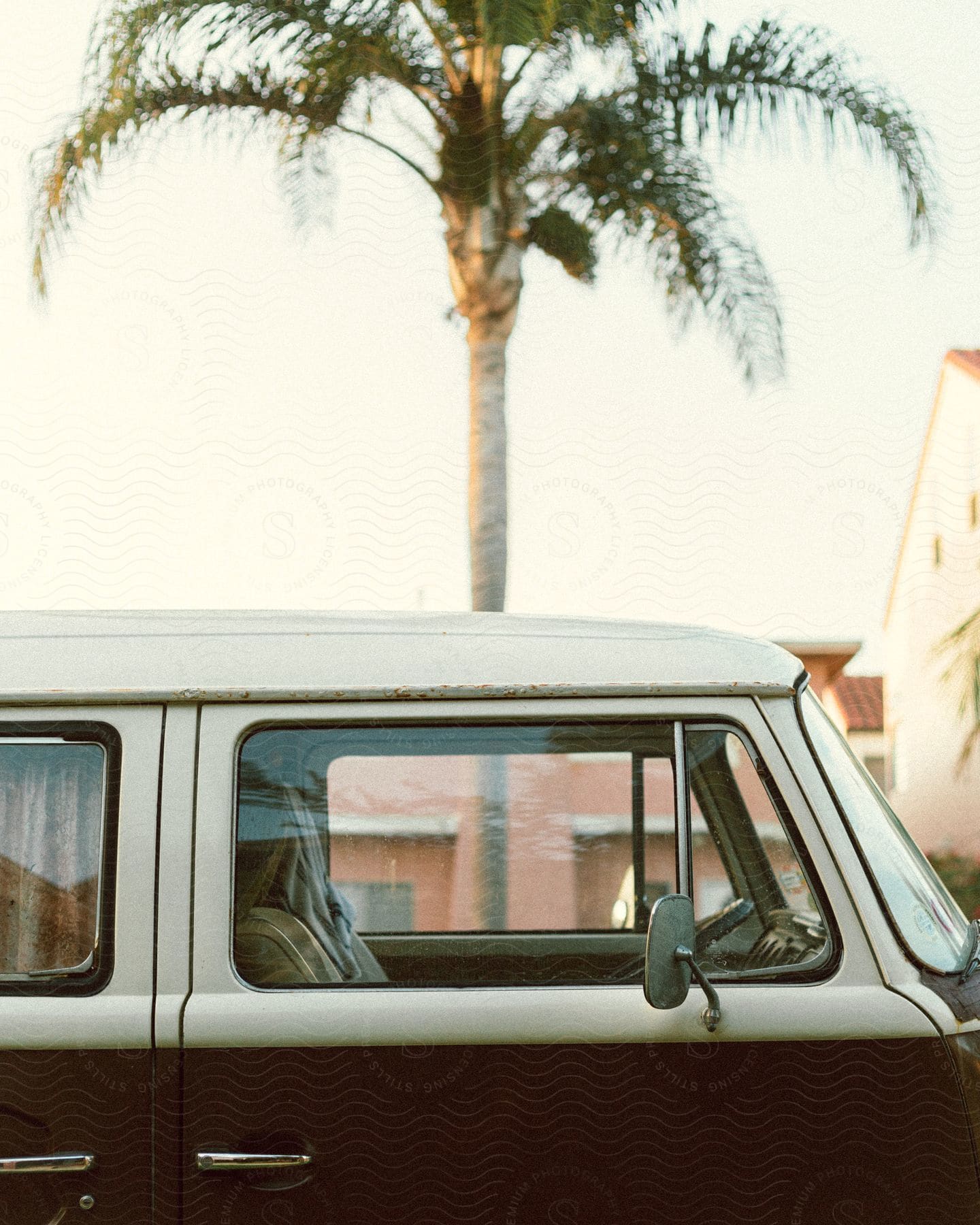 A woman stands next to a classic car with palm trees in the background