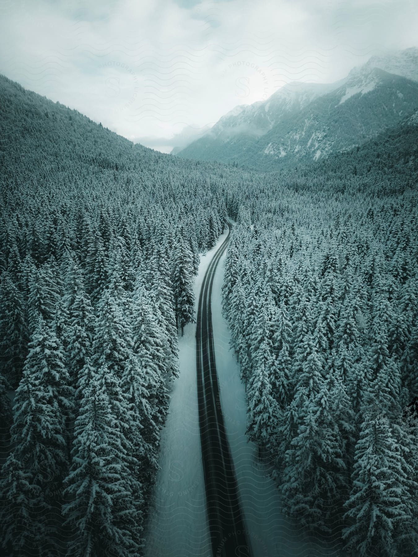 Train tracks running through a snowy forest valley with mountains in the distance