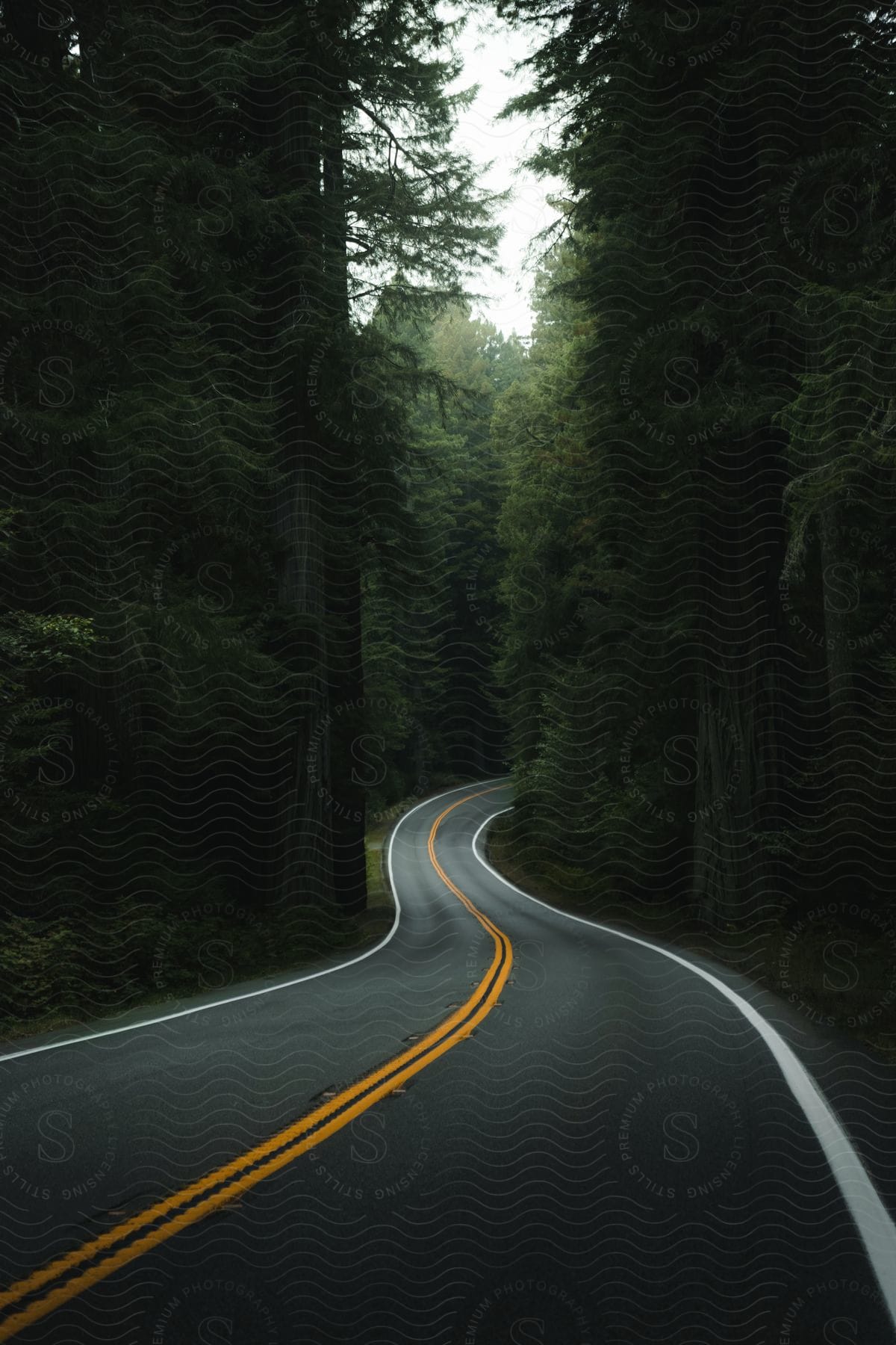 A two lane highway winds through a forest under overcast skies