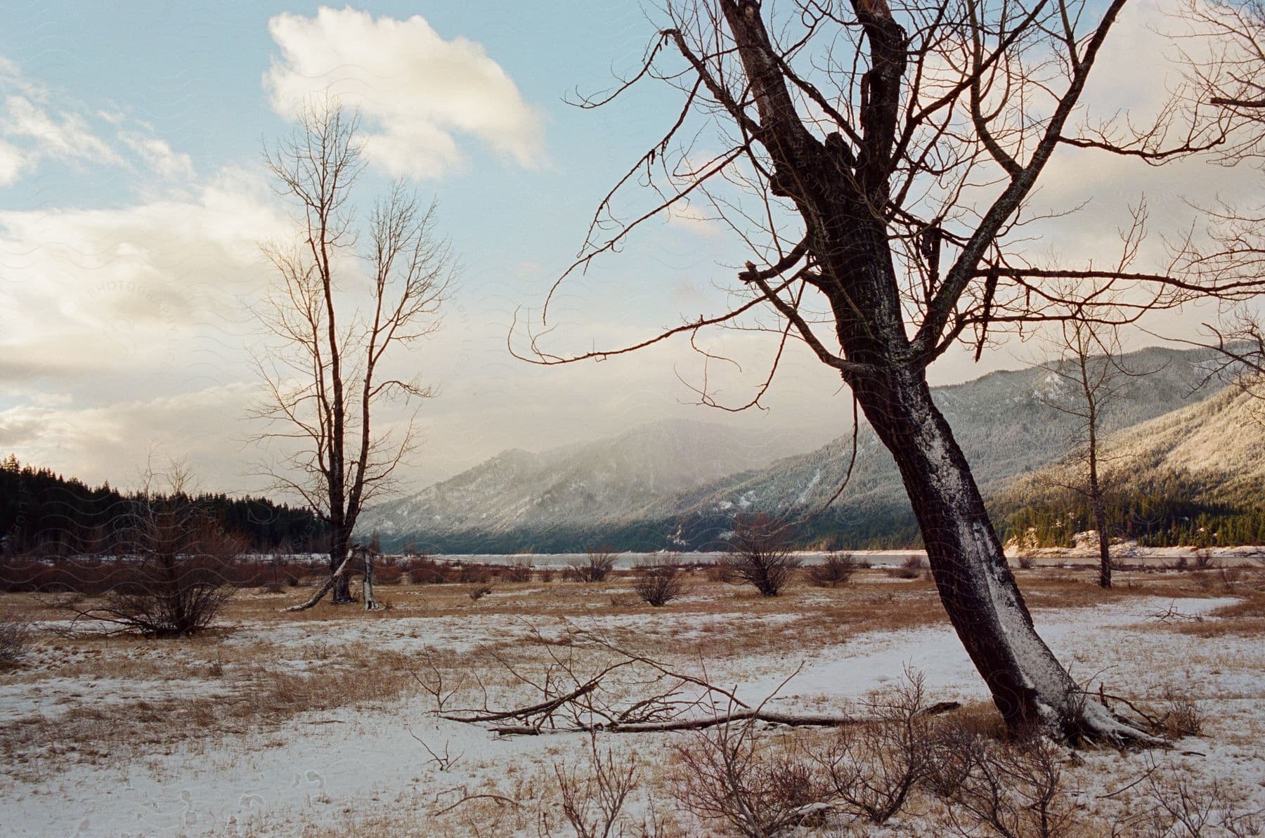 A winter landscape with mountains trees and a cloudy sky