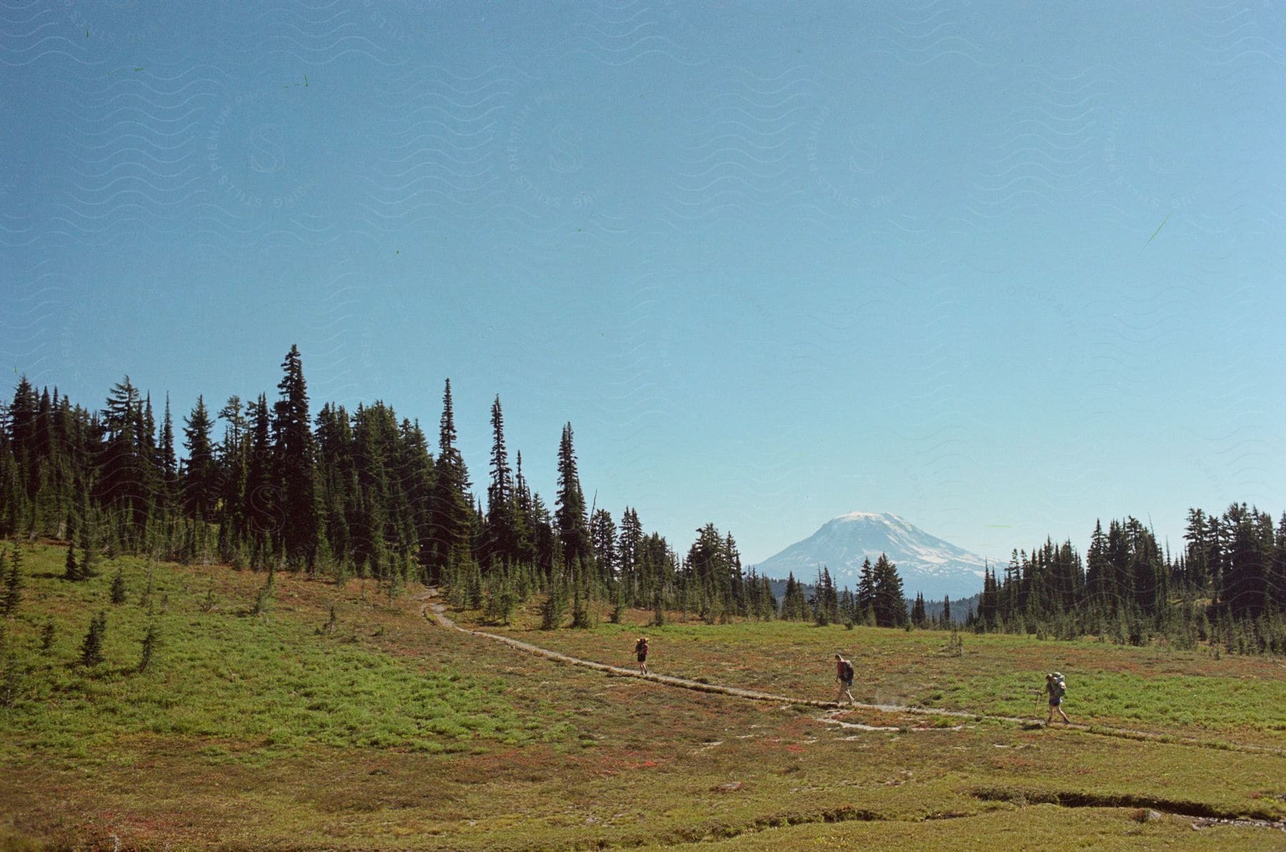 A small group of people going out for a hike in the countryside