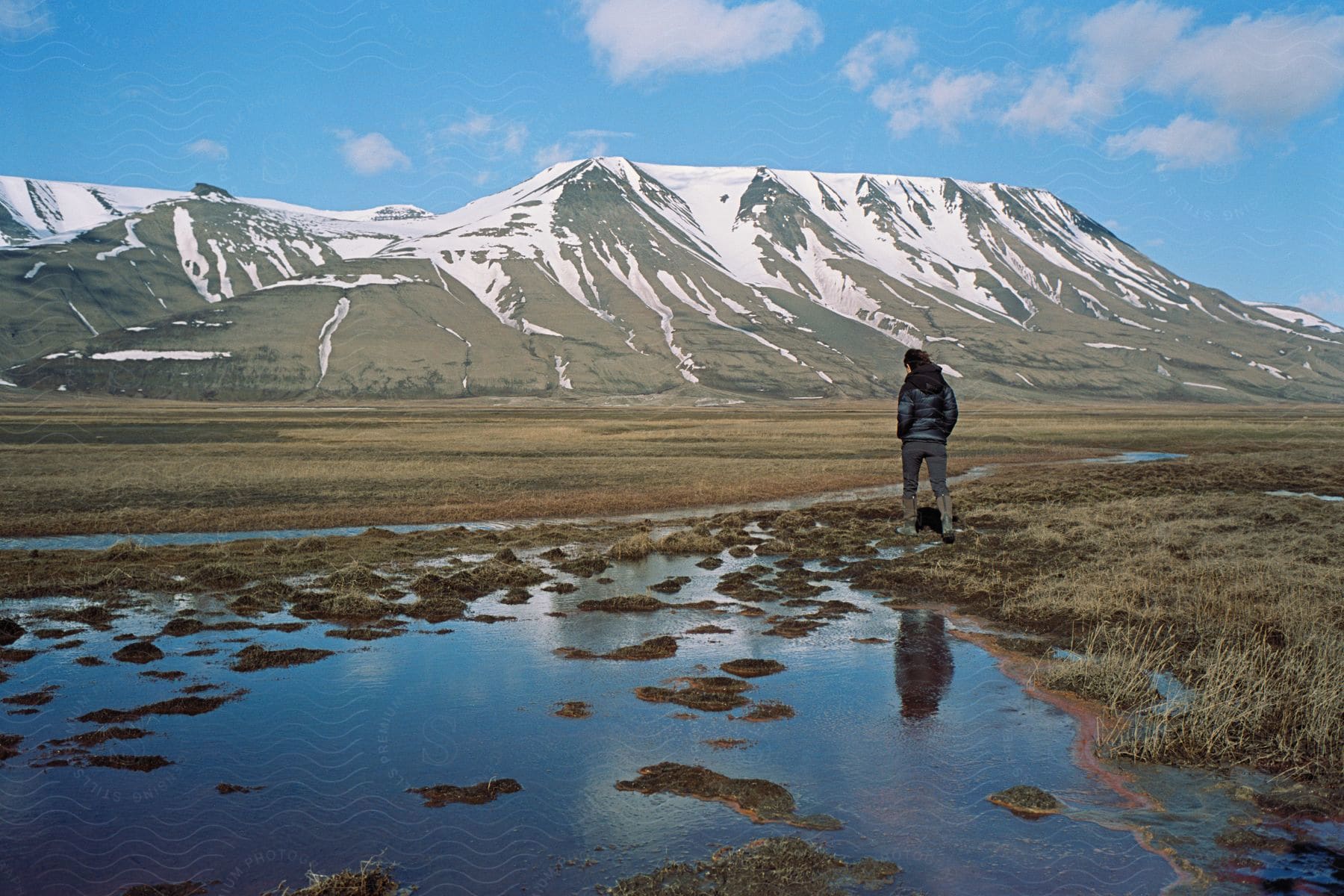 A person standing on wet grass with snowcovered mountains in the background and a puddle reflecting the person in winter clothes