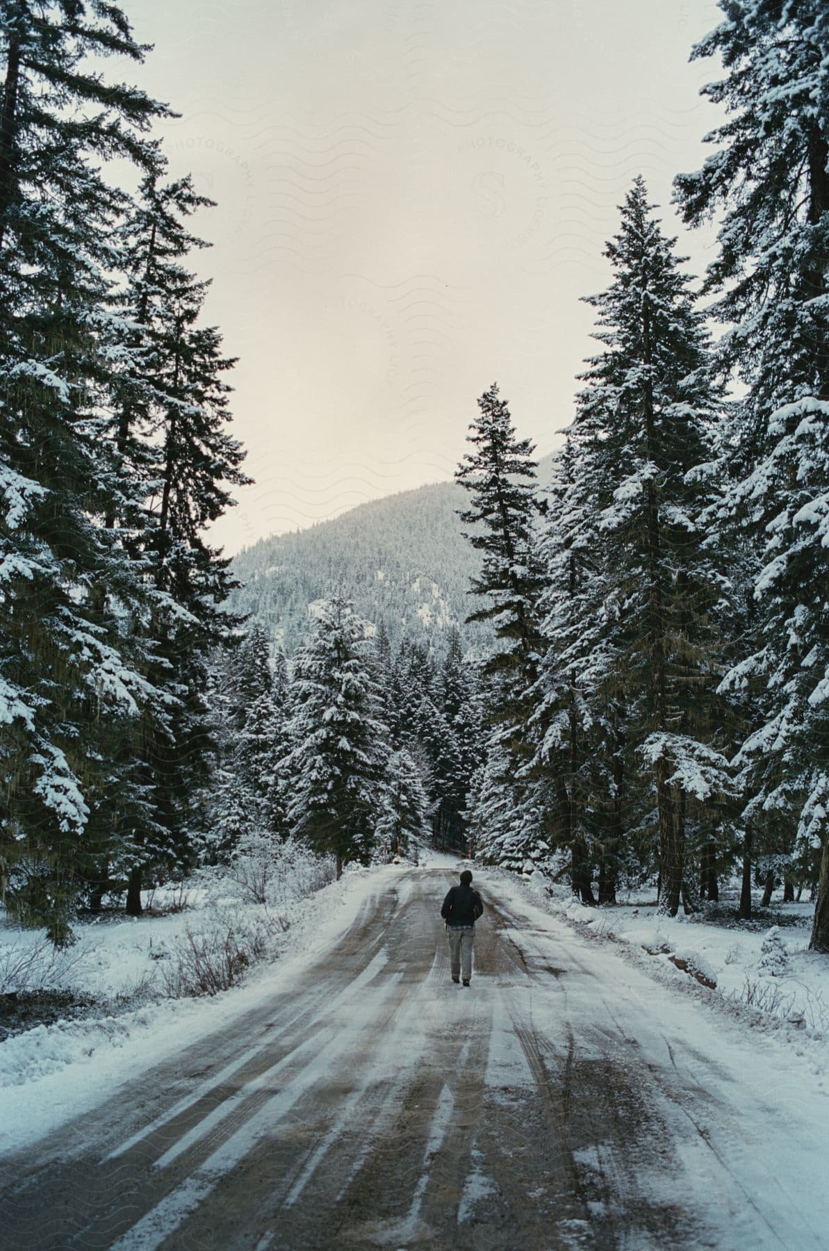 A man walking on a snowy road in a forest during winter