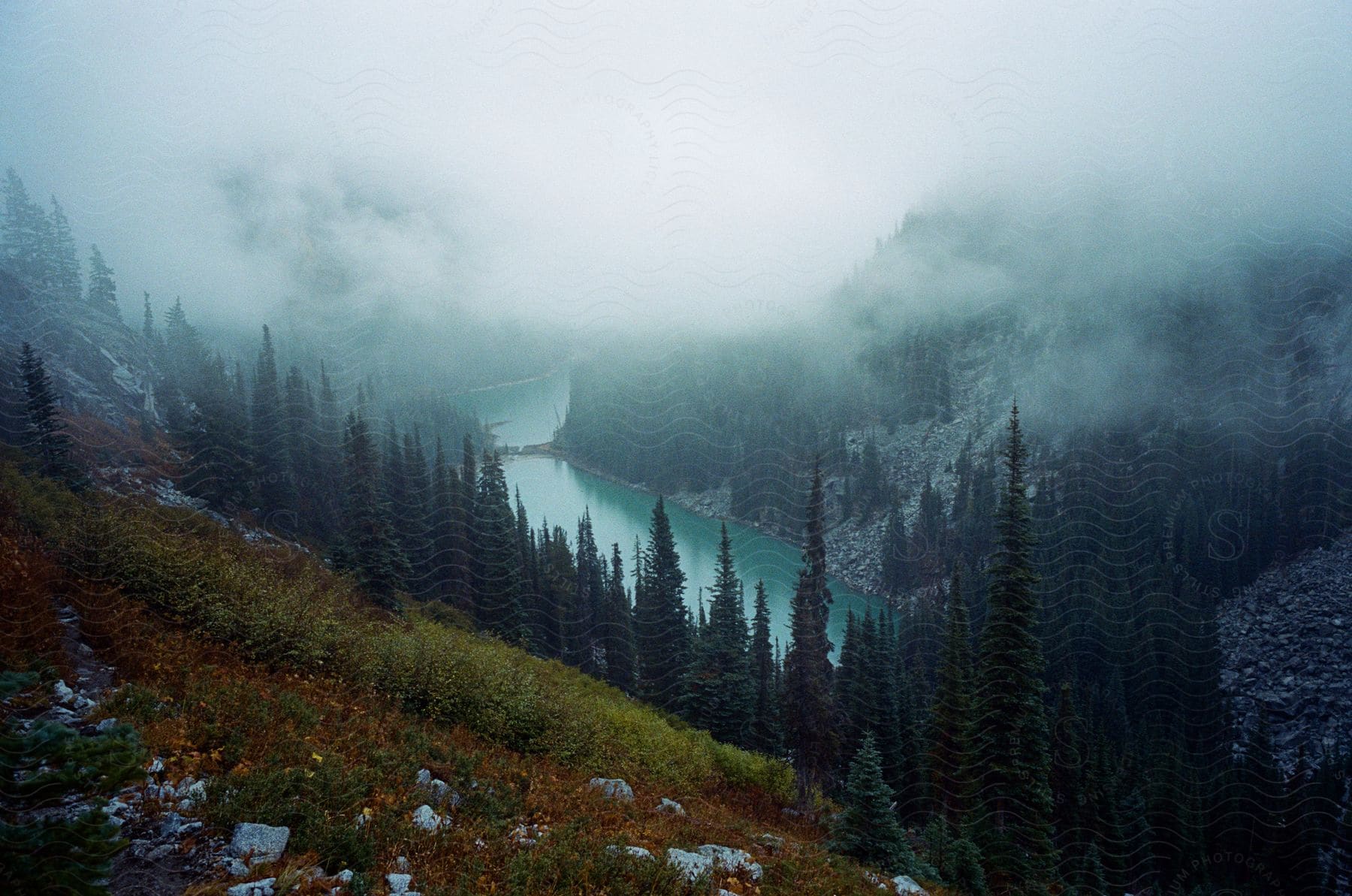 A photograph of mist covering the terrain in an outdoor setting during the day