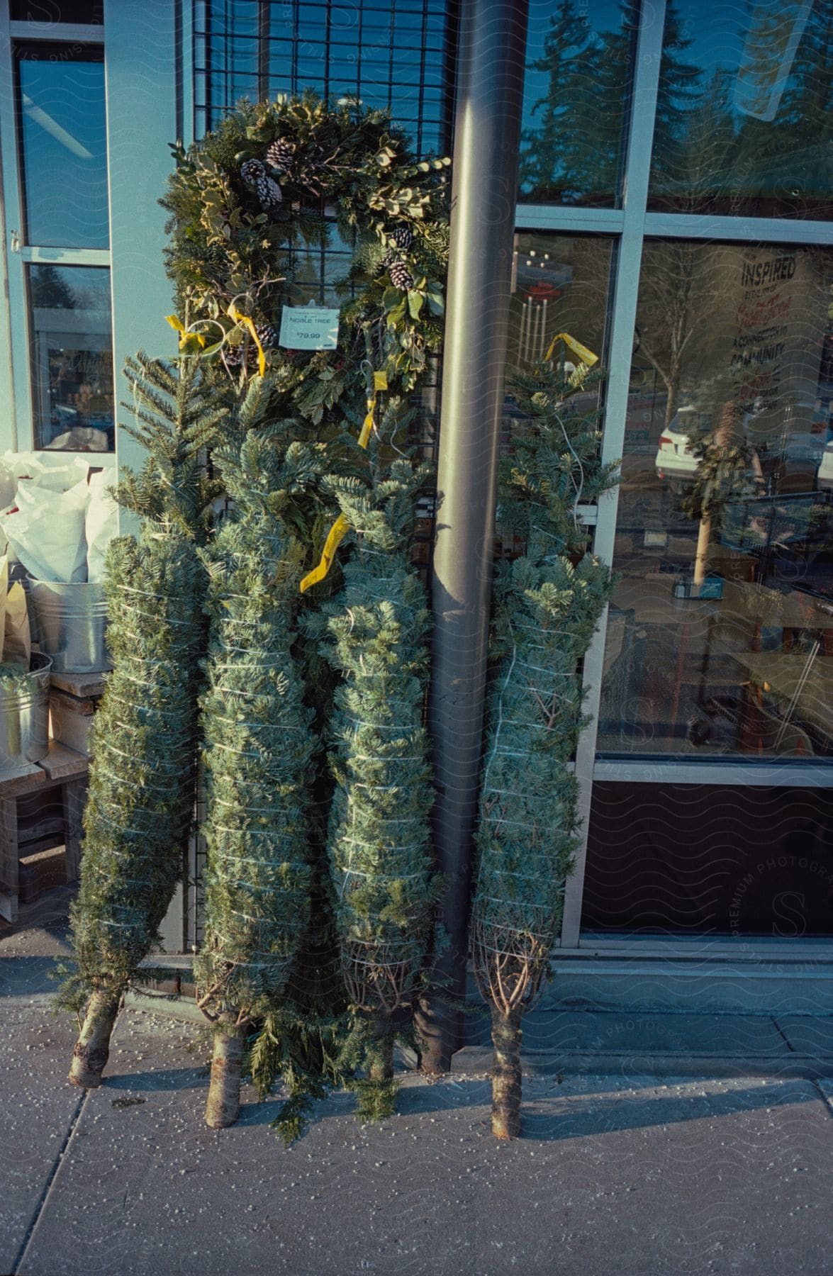 Christmas trees and a wreath for sale outside a store