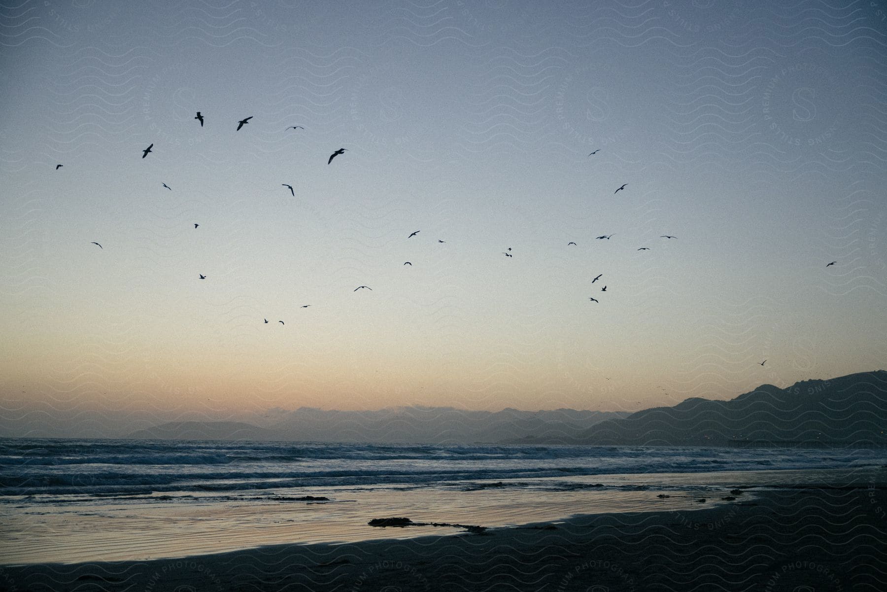Birds flying over the ocean near the shoreline as the sun creates a thin line of pink on the horizon