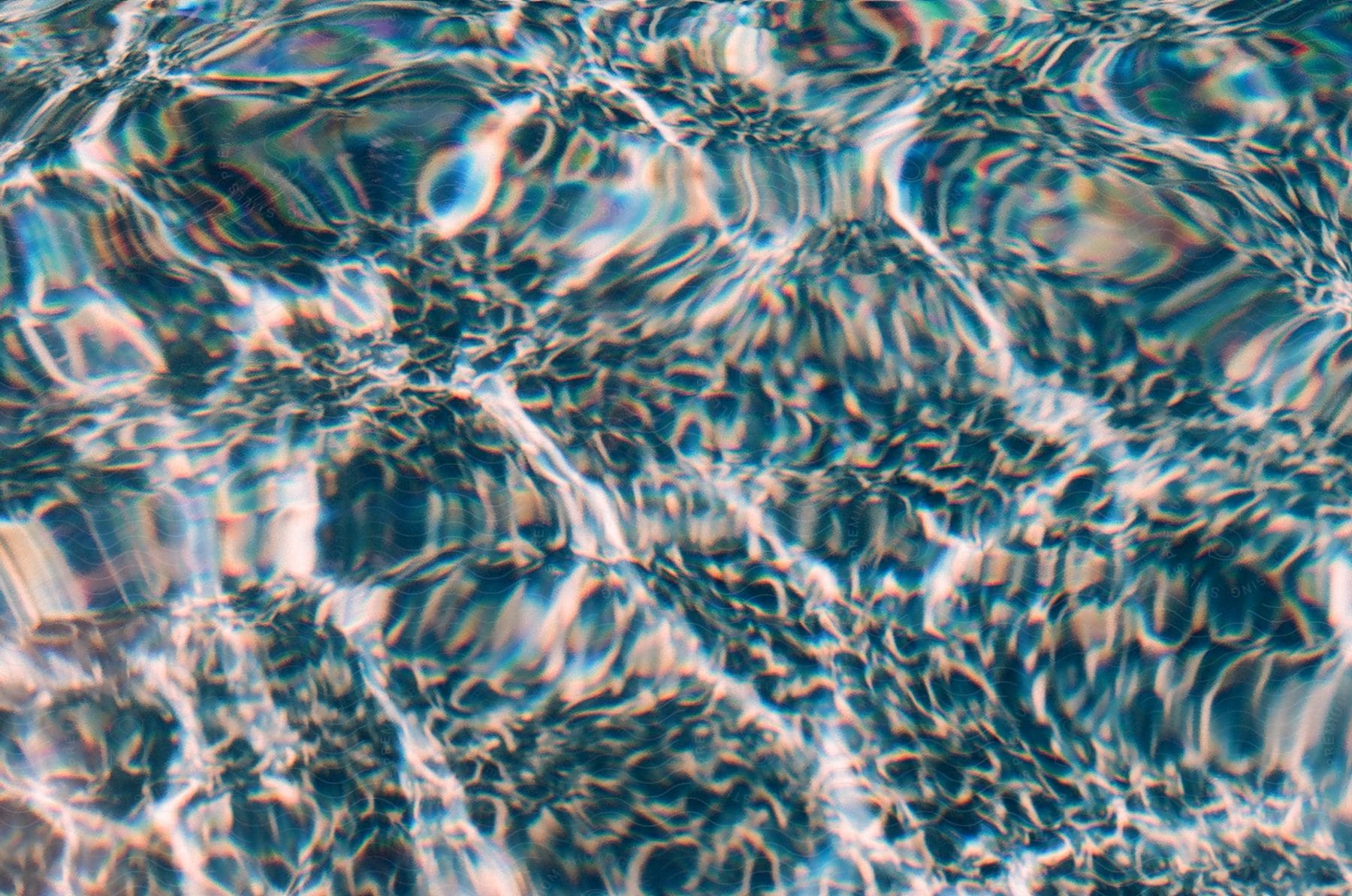 Ripples and light on the surface of a swimming pool