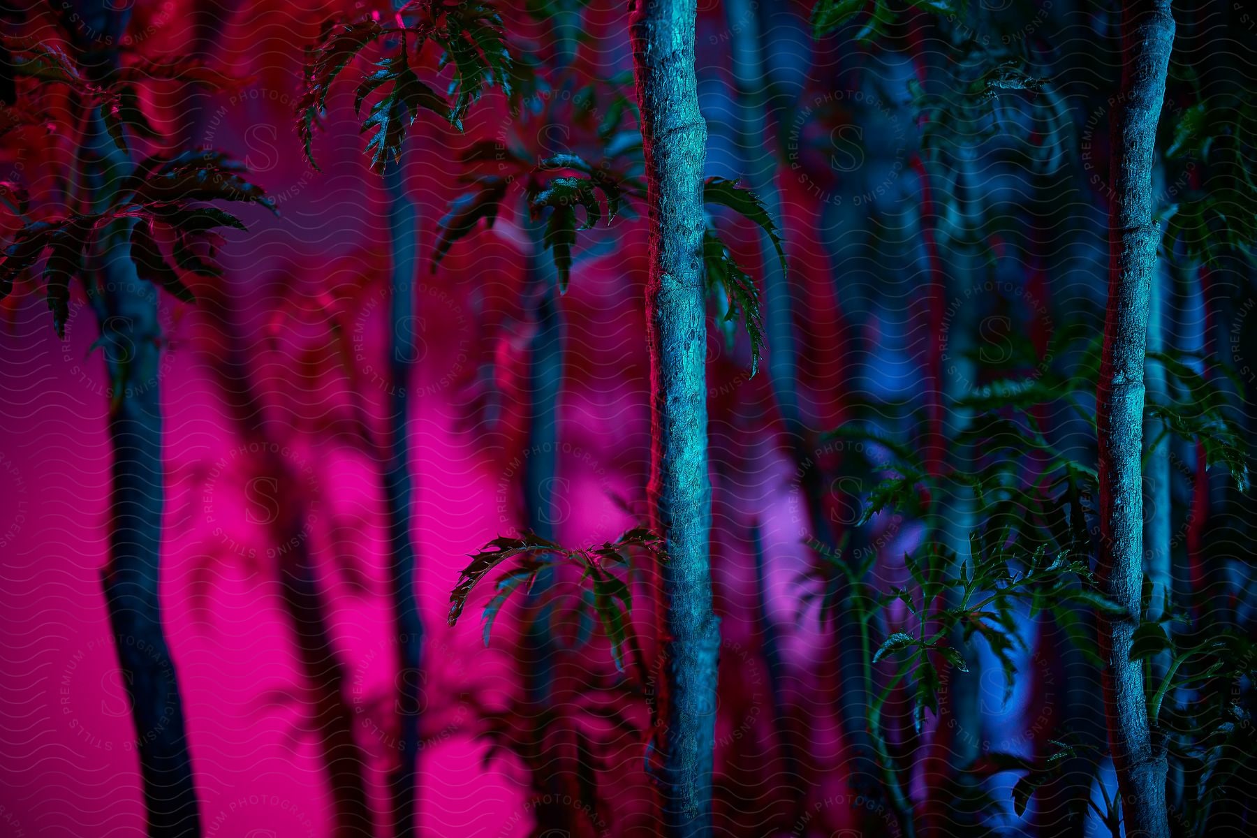 A nighttime landscape with purple and pink hues featuring grass twigs and a tree trunk