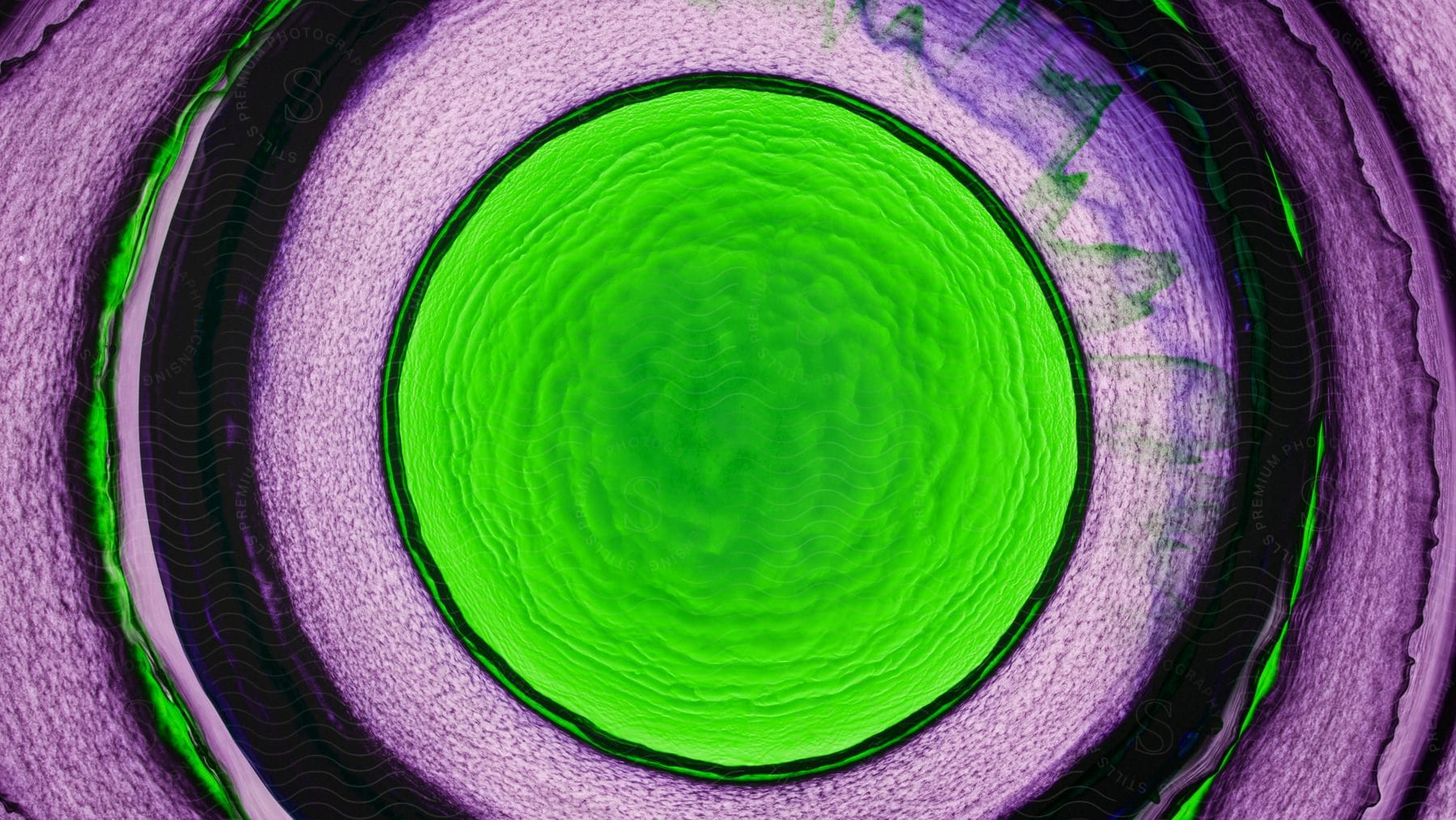 A digital art design featuring purple and green in a circular pattern