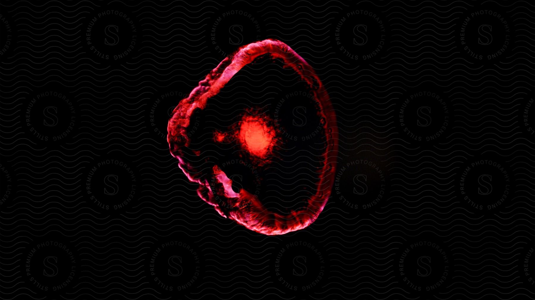 Glowing red ring with center red spot against a black background abstract colorful chemical reaction microscope macro