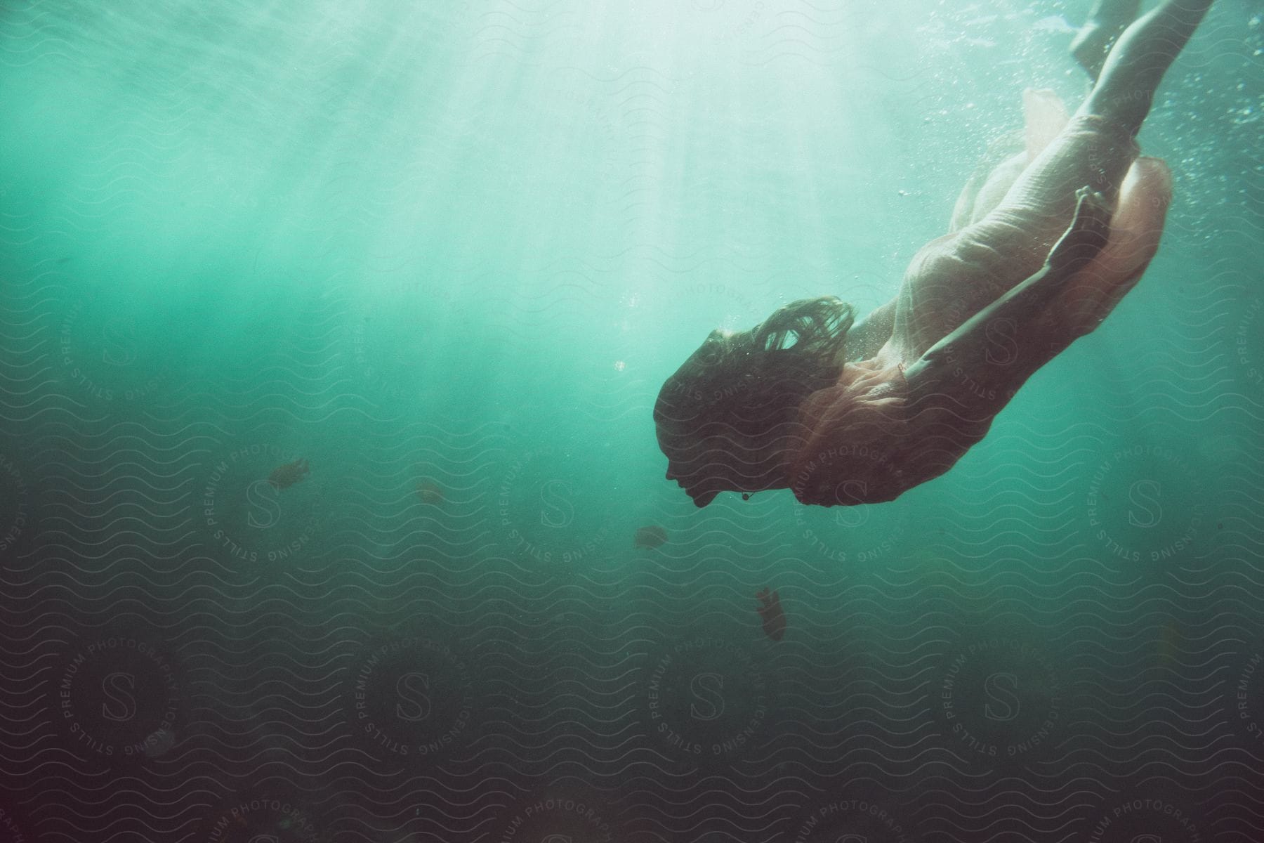A determined woman swimming underwater in la jolla