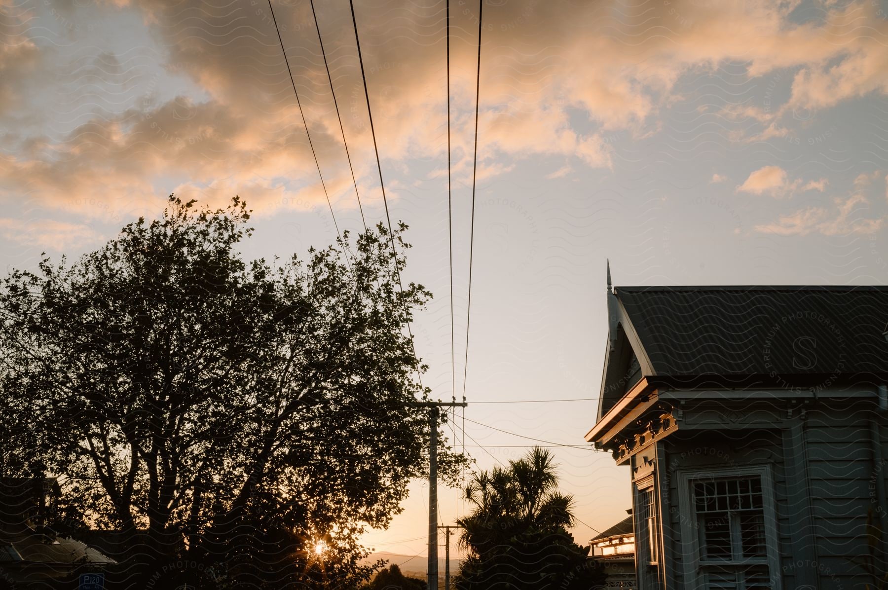 A suburban house with power lines and a tall tree in front as the sun sets on the horizon