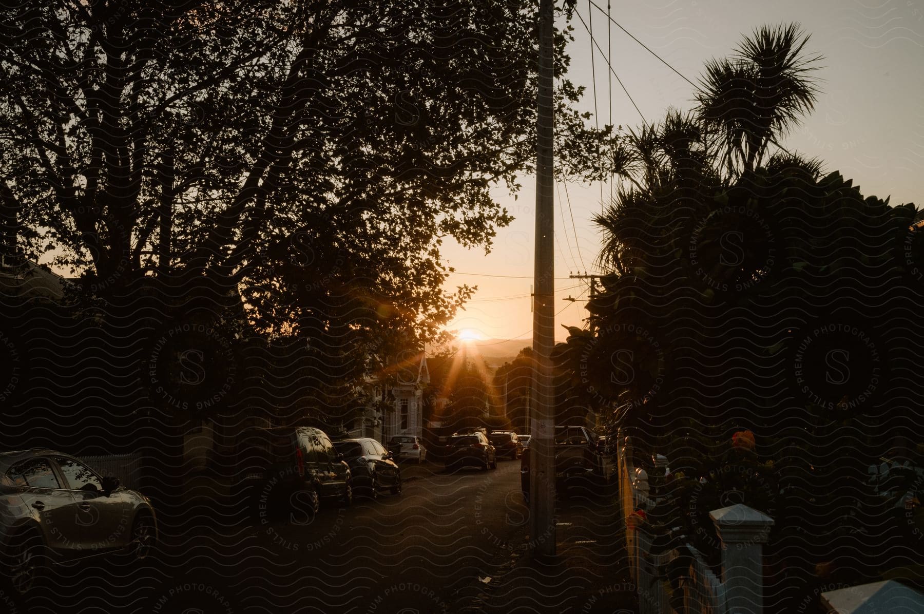 Cars parked on a neighborhood street in front of houses and trees as the sun sets over a mountain