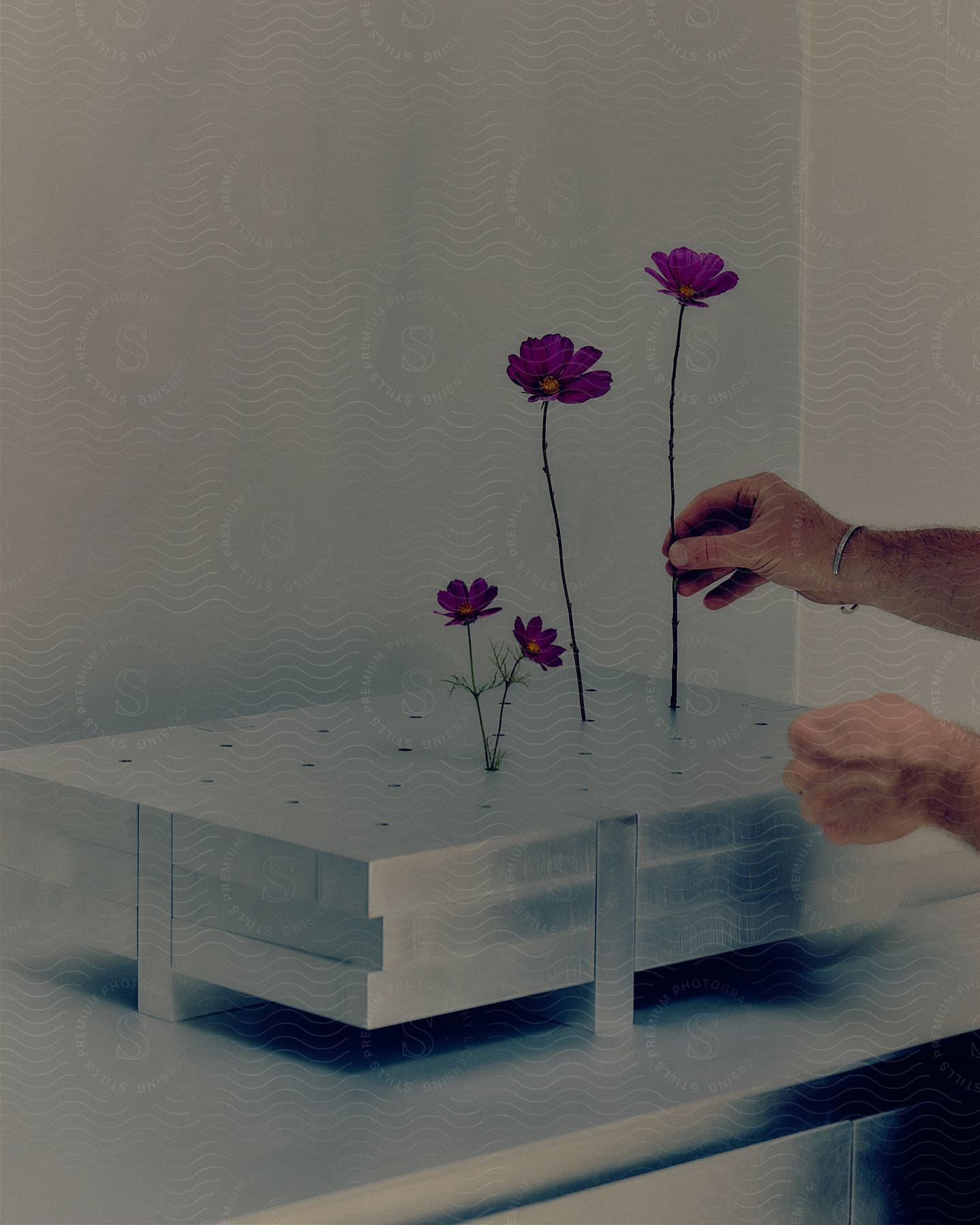 A person arranging purple single stem flowers into holes on a metal display tray on top of a metal table