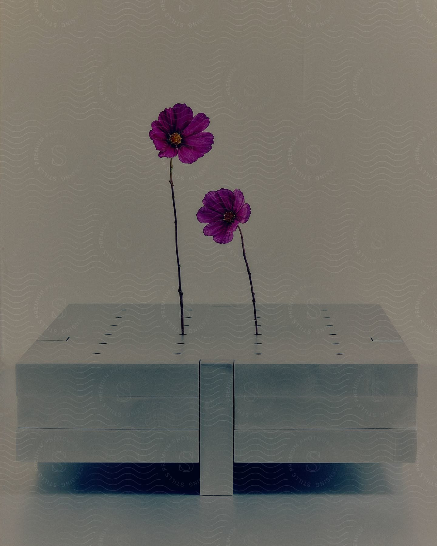Purple flowers arranged on a white stand in a white room