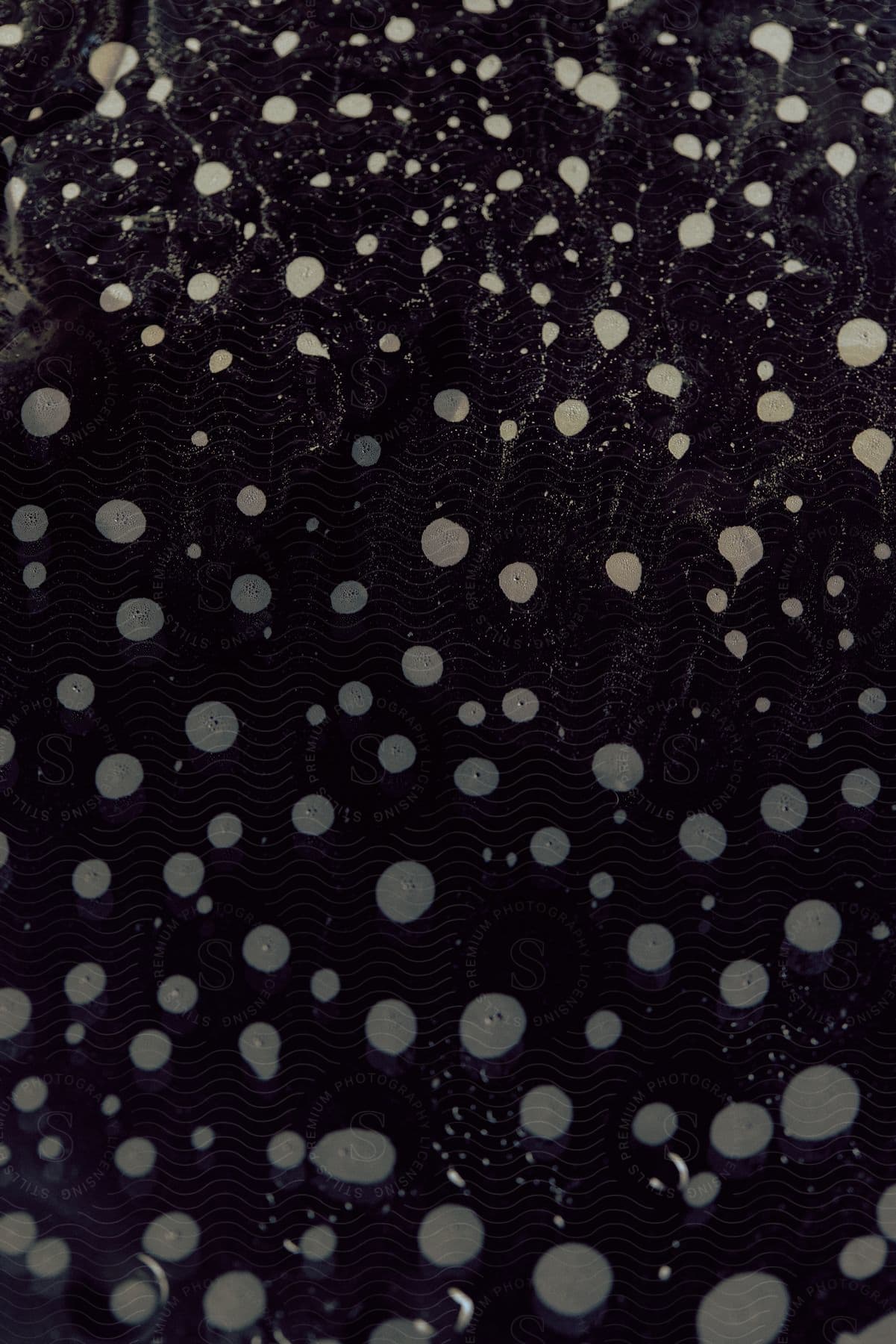 Pattern of white dots over a black textured surface