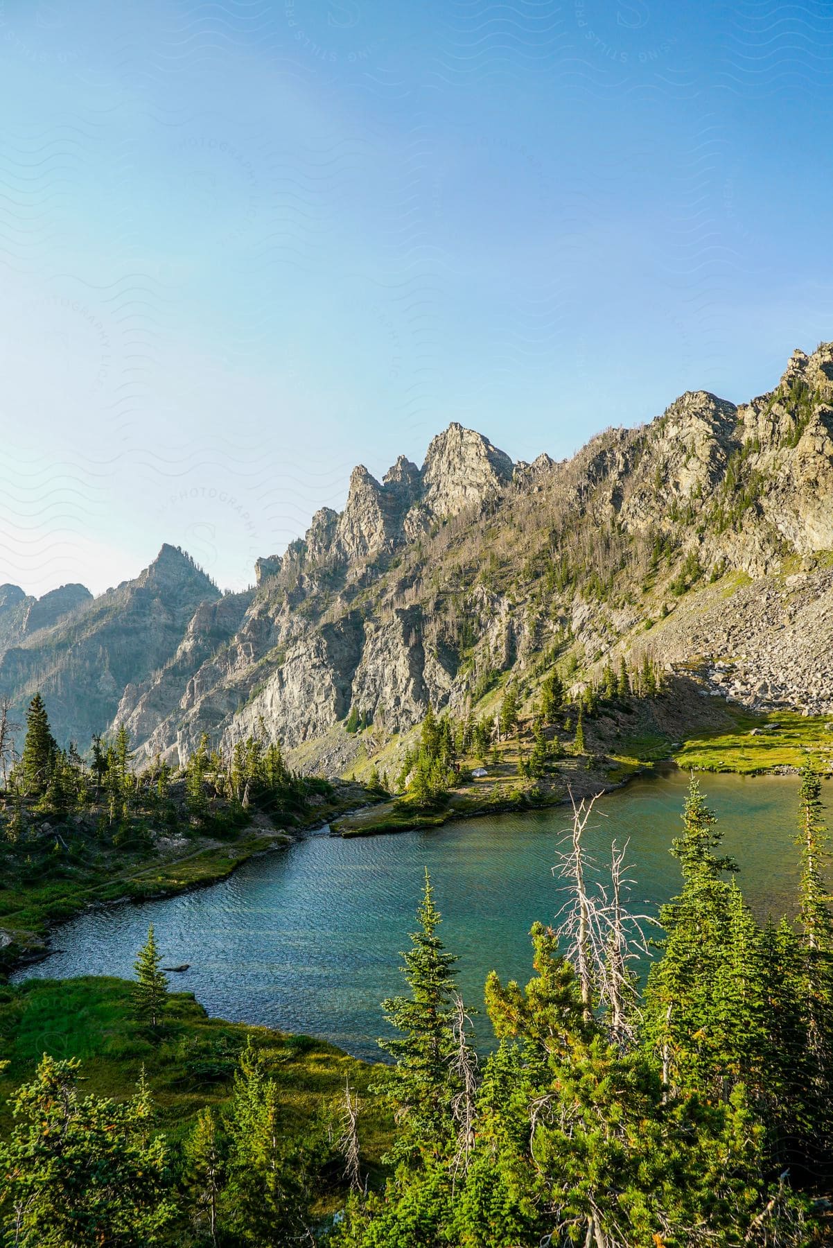 Mountains on a clear and sunny day in montana