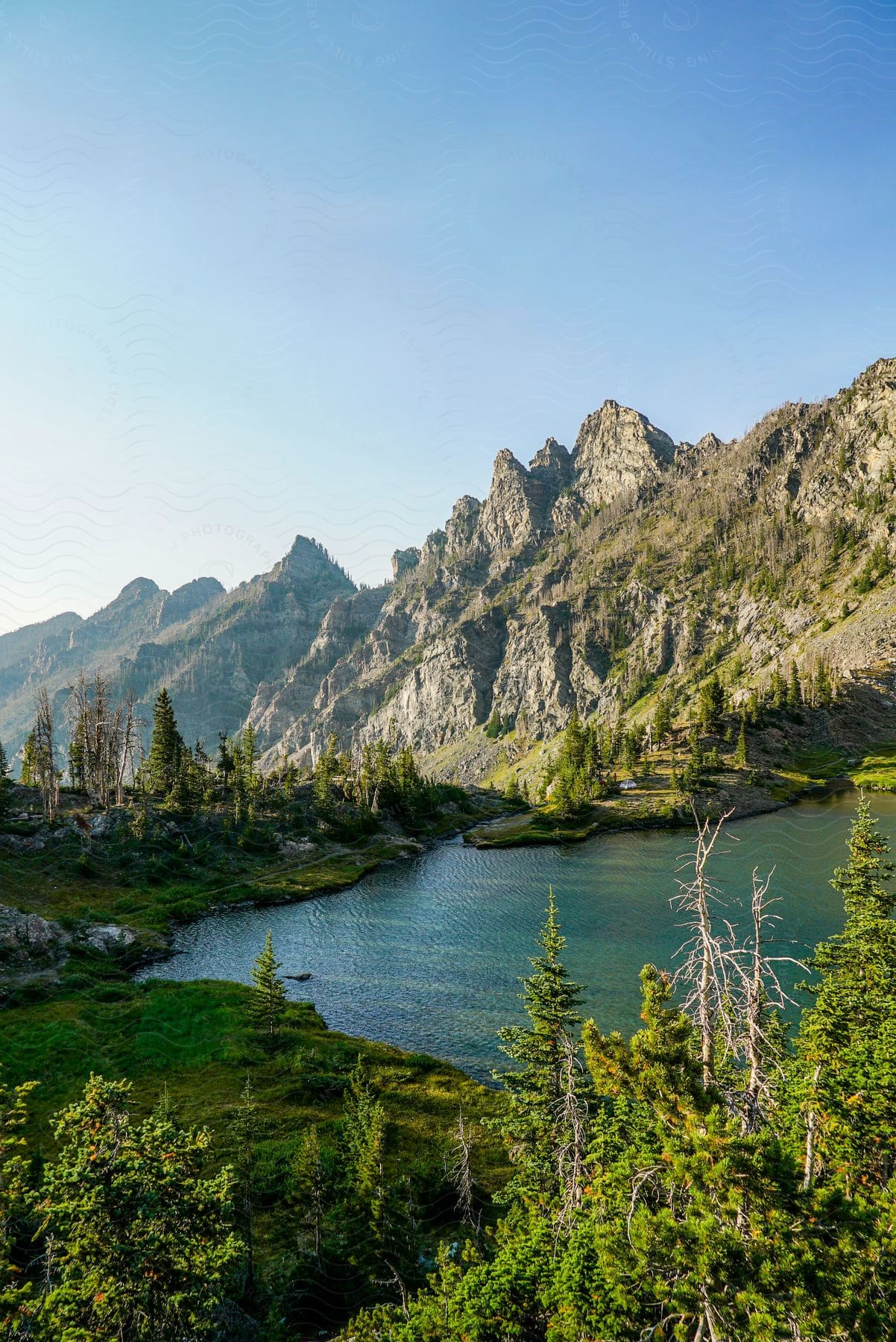 A lake and trees in the valley of a canyon