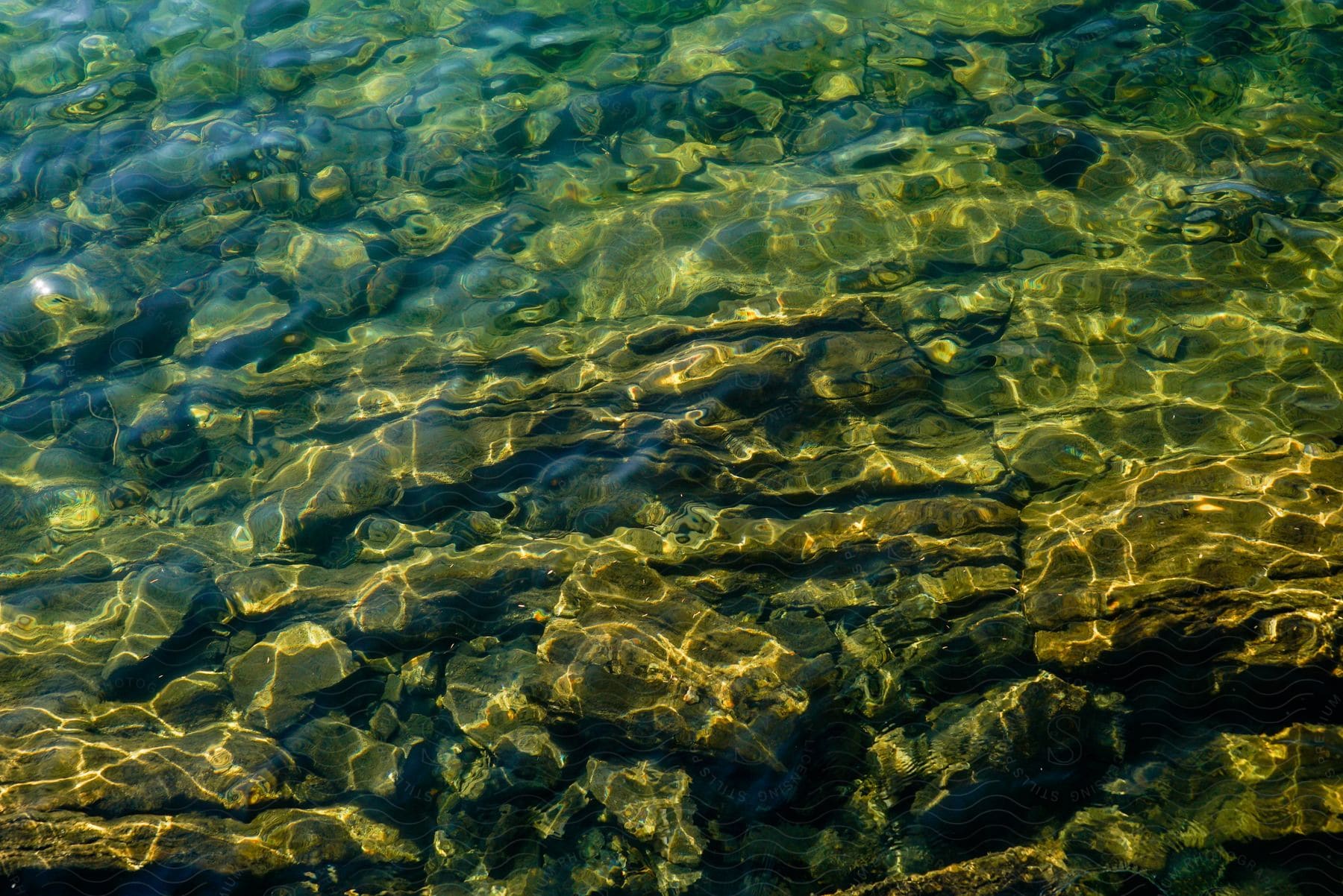 Sunlight reflects off rocks underwater in an alpine lake in montana