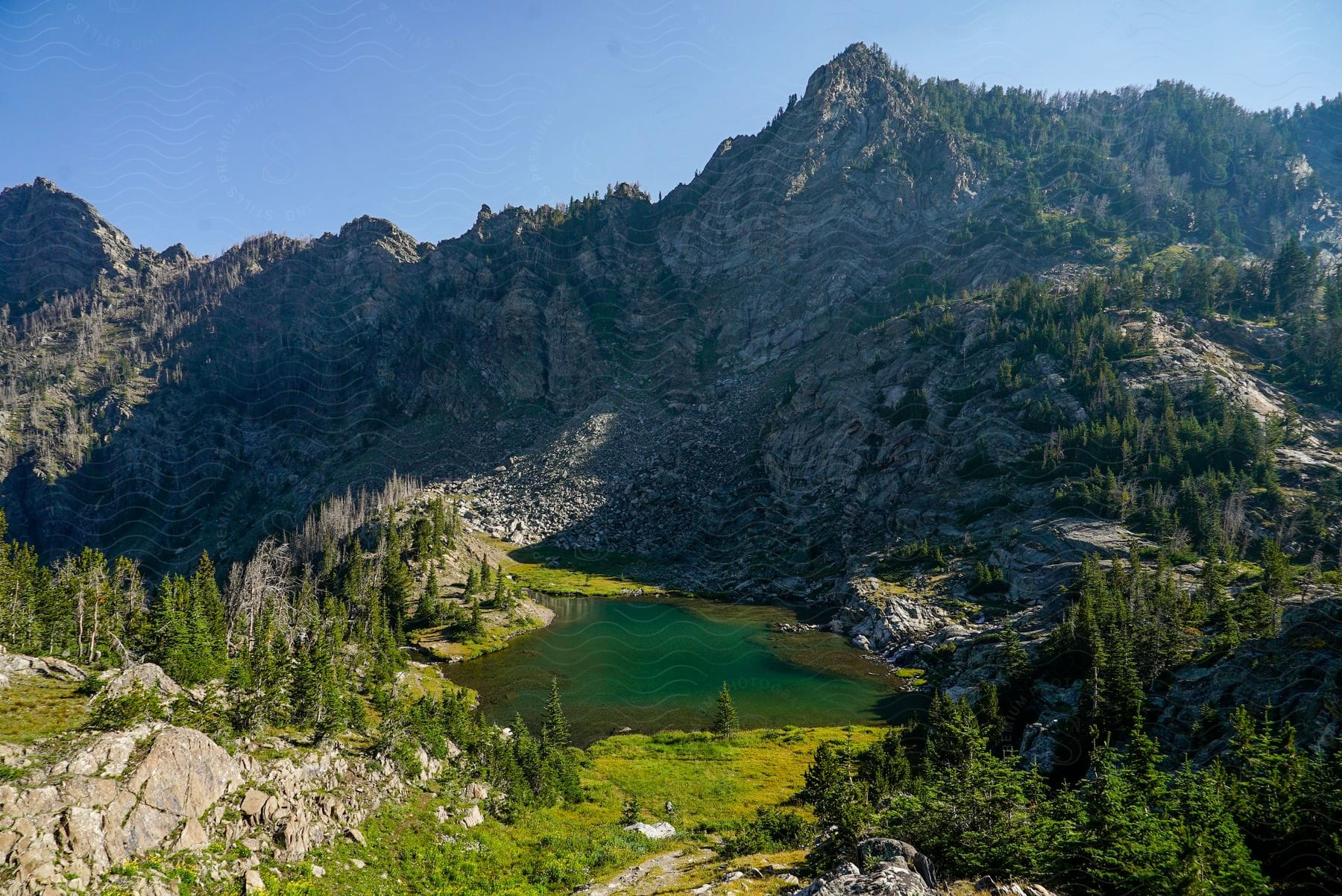 Conifers cover portions of mountain side and valley near green lake