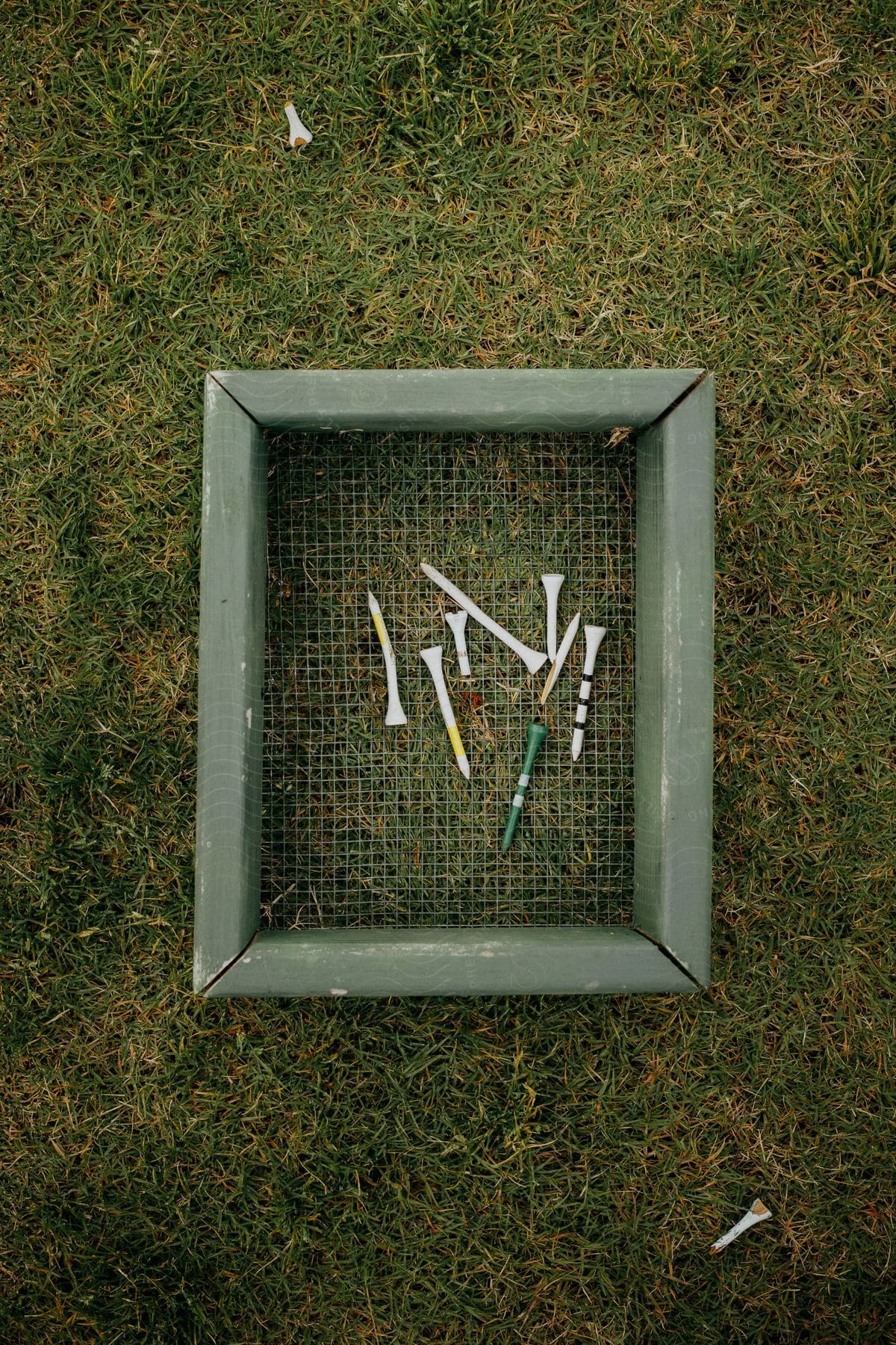 Chicken wire box with golf tees on grass with broken tees