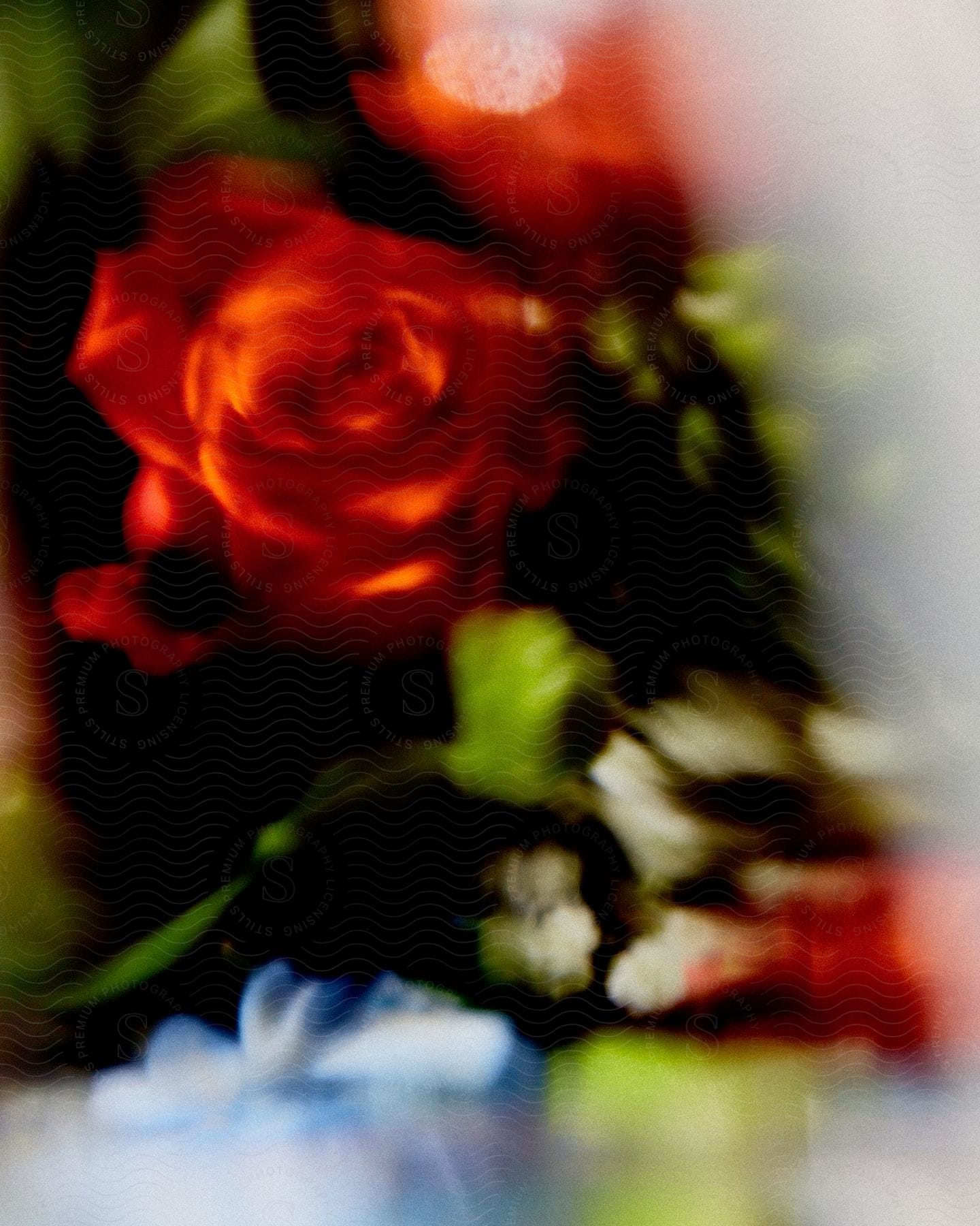 Blurred photo of a red rose