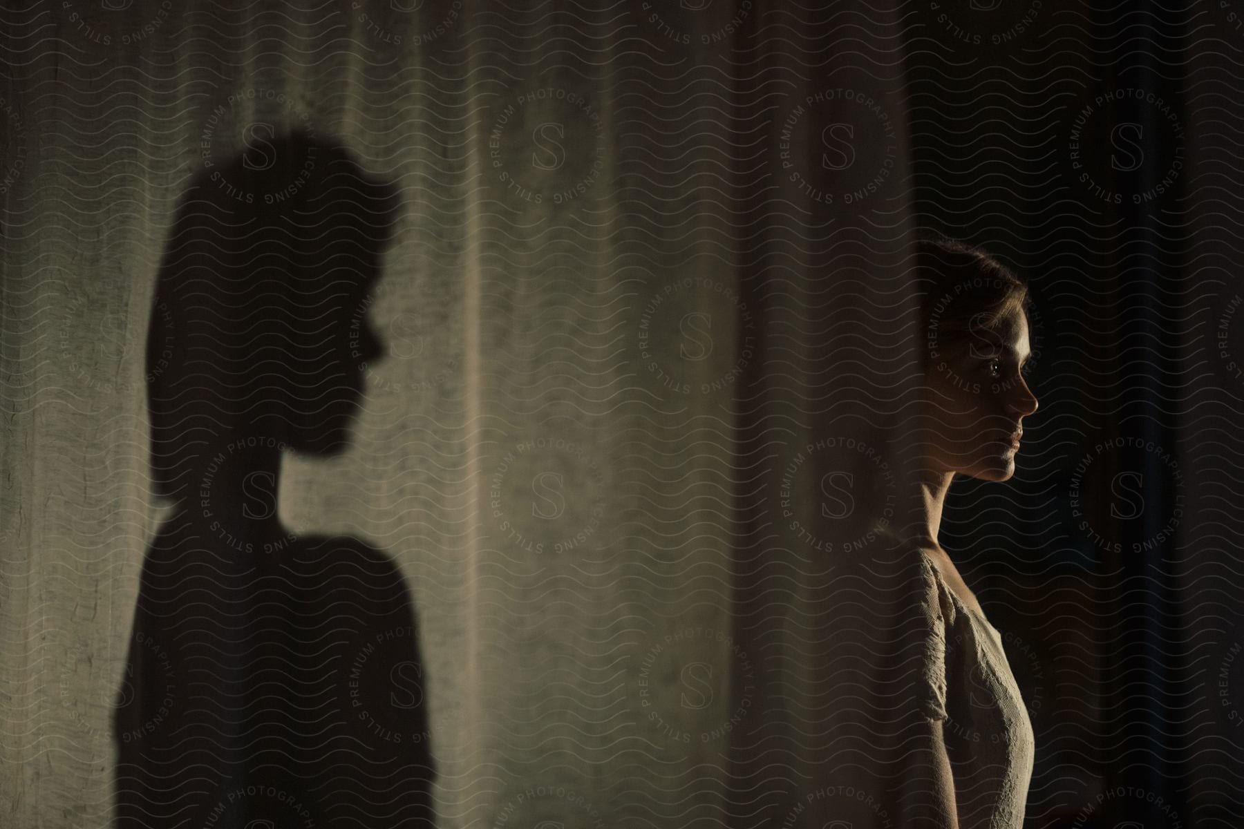 A woman stands in profile next to a curtain with her shadowsilhouette portrayed to her left