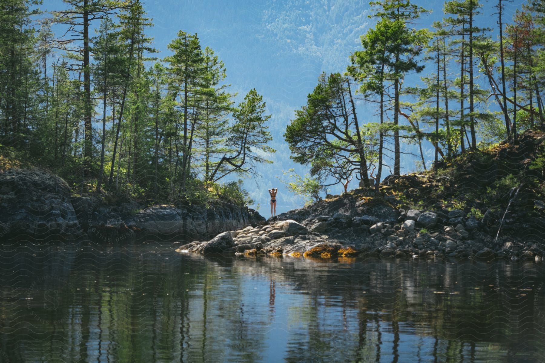 A river surrounded by green trees with a woman standing on a rock