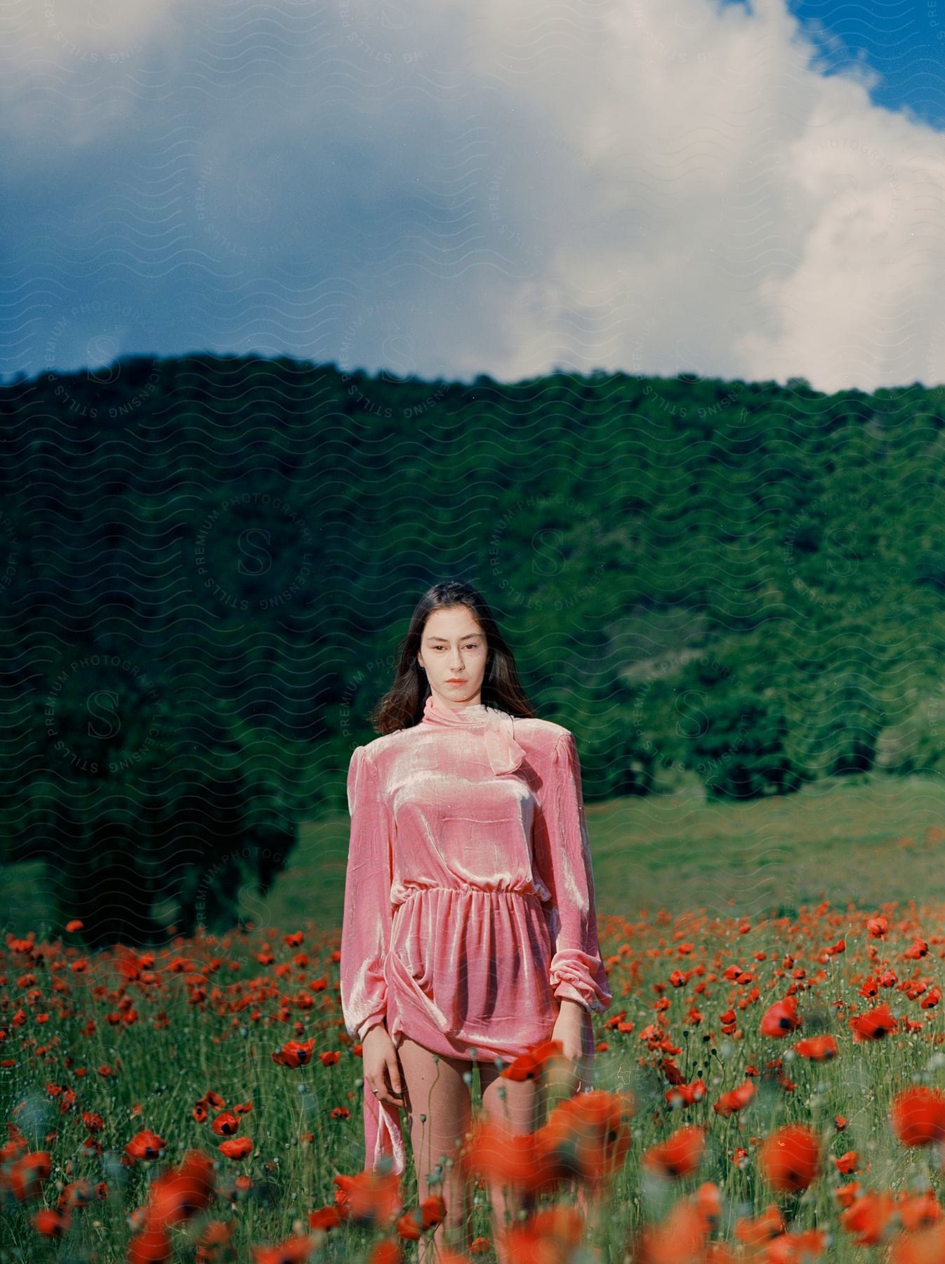 A woman in a pink dress stands in a field of red roses with a forested mountain in the distance under a cloudy sky