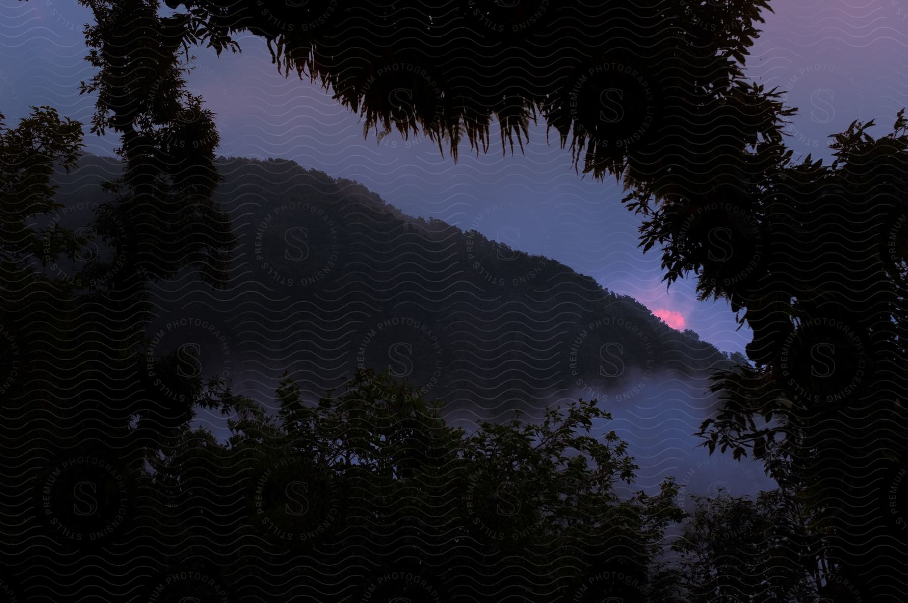 Stock photo of a tropical mountain framed by plants and the sky at dusk