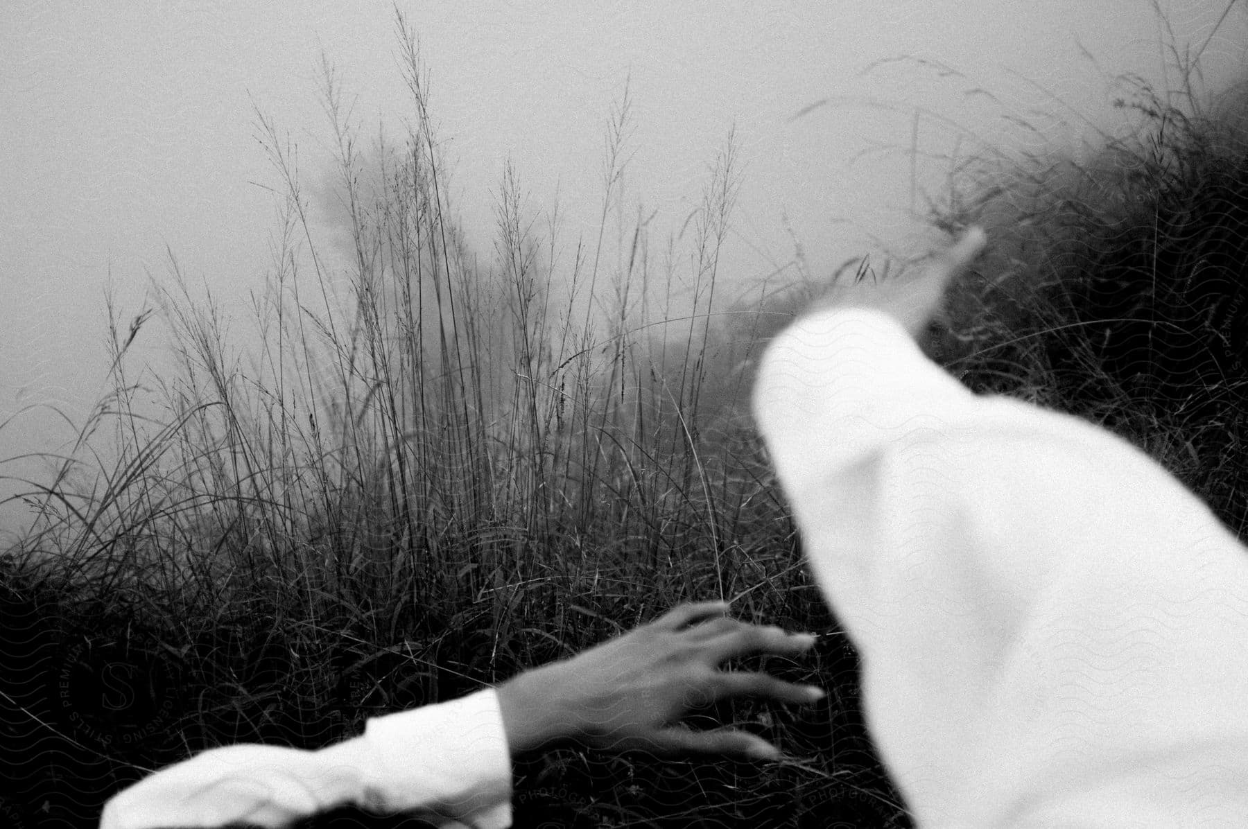 A Persons Arms And Hands Reaching Out Toward Grass In Black And White