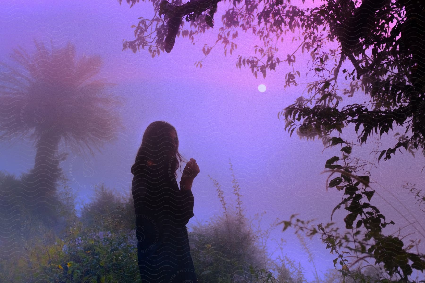 Woman in black coat standing next to a tree silhouetted against the moon at dusk in an outdoor setting