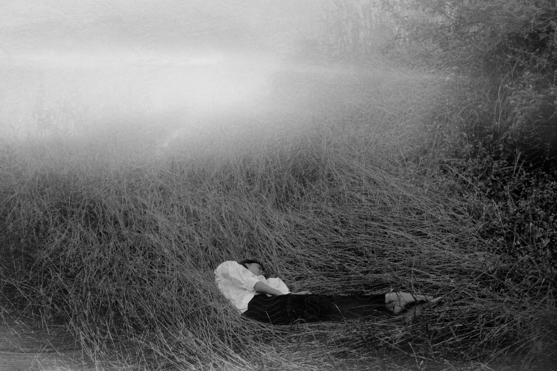 A person standing in a foggy landscape with trees and grass