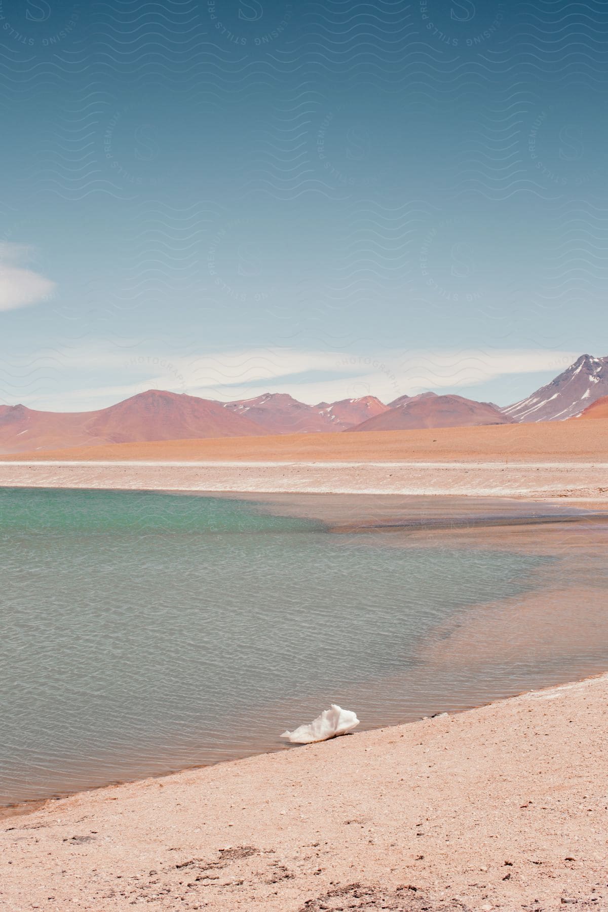 Shoreline of a lake on the desert next to the mountains under a clear blue sky