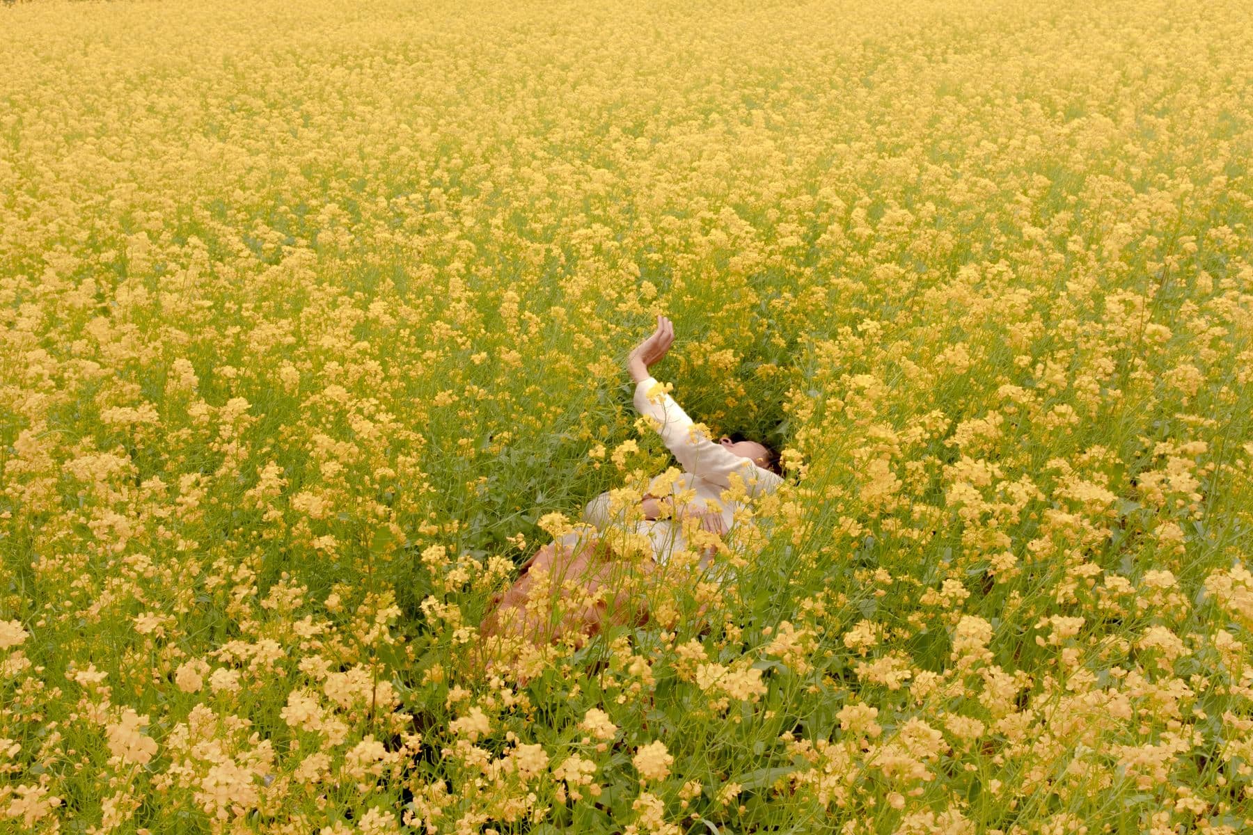 A female lying in a field of flowers during the daytime