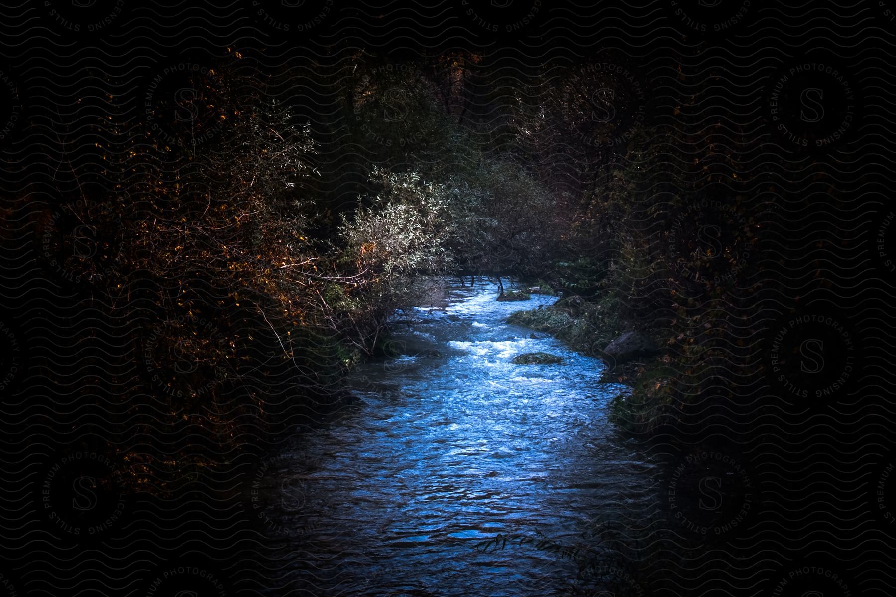 A river at night flowing through a dark forest with trees lining the river banks