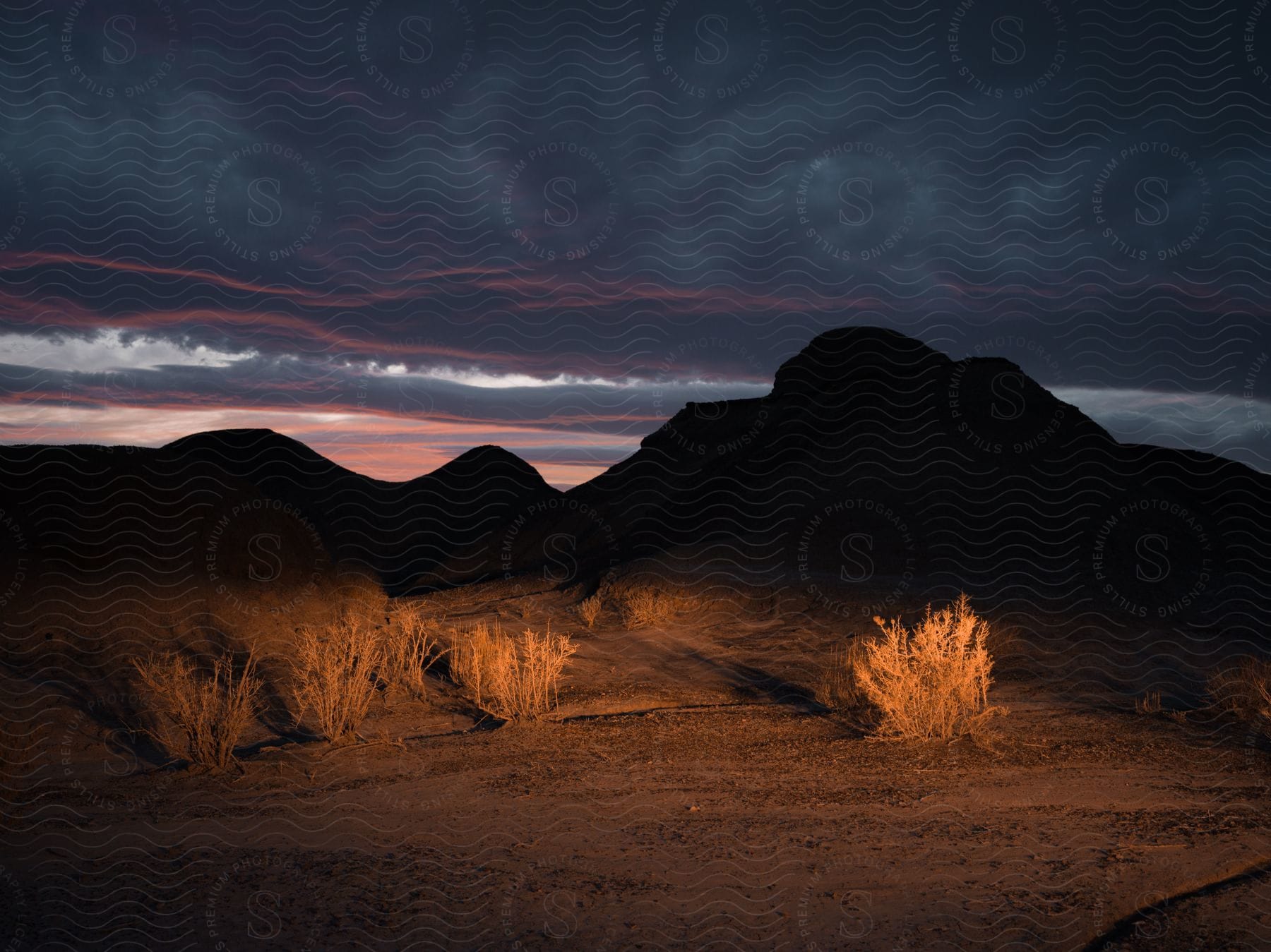 Sunlit desert plants and vegetation with distant mountains under a cloudy sky