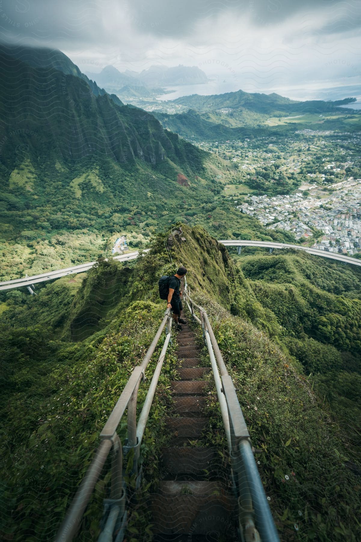 A man on a ladder at the top of a mountain surrounded by a forest