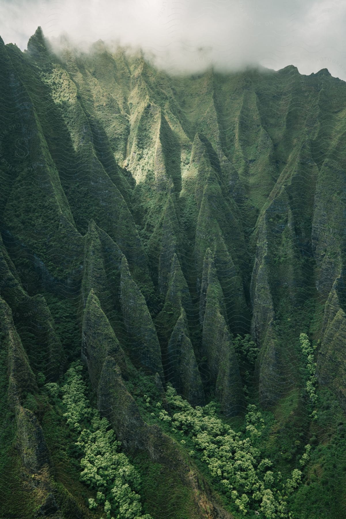 Greencovered mountain ridges with vegetation at the bottom covered in fog