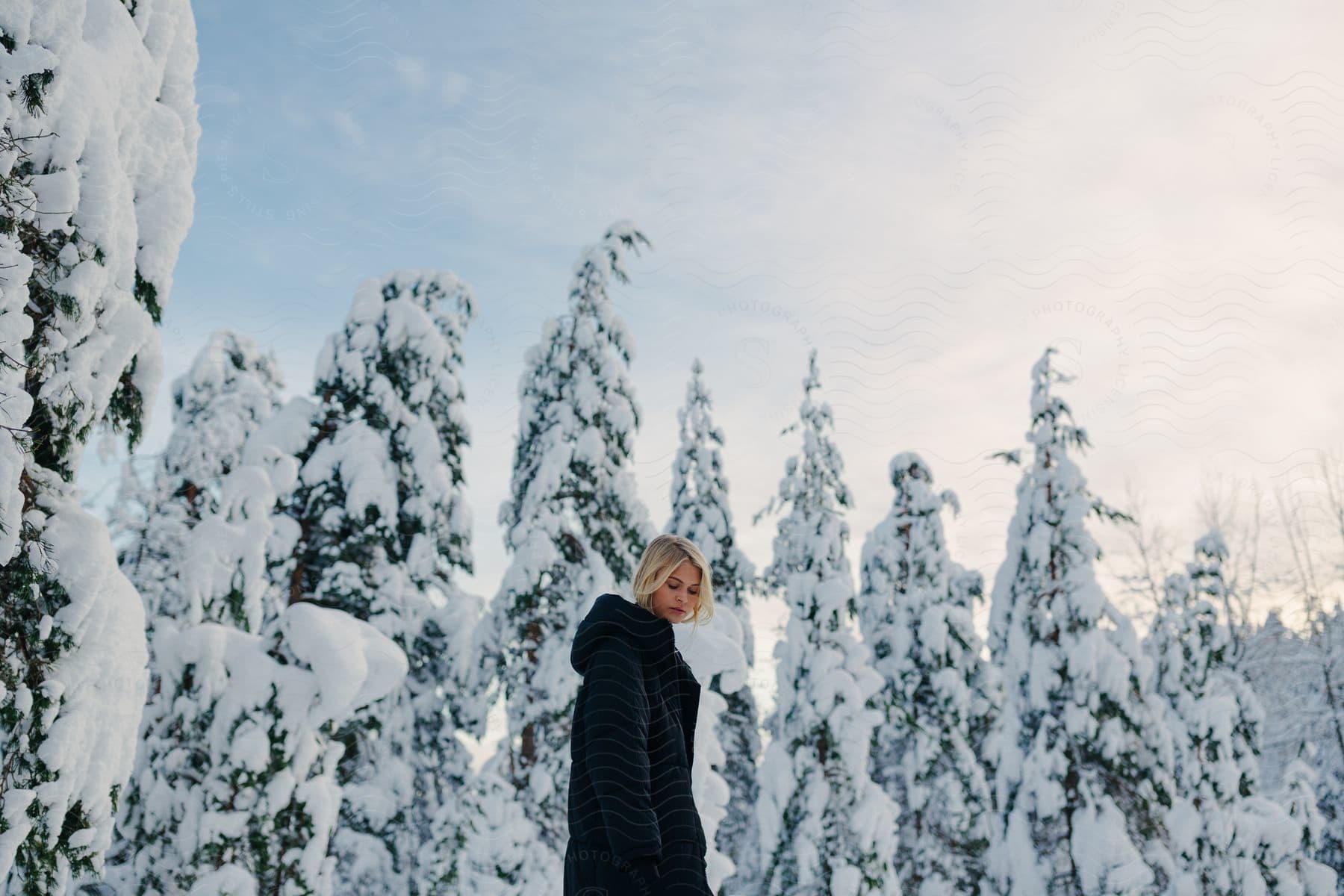 A Person Enjoying Nature In The Snow