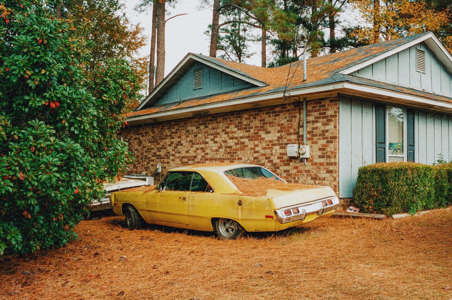 A house with a car parked in front surrounded by trees and vegetation