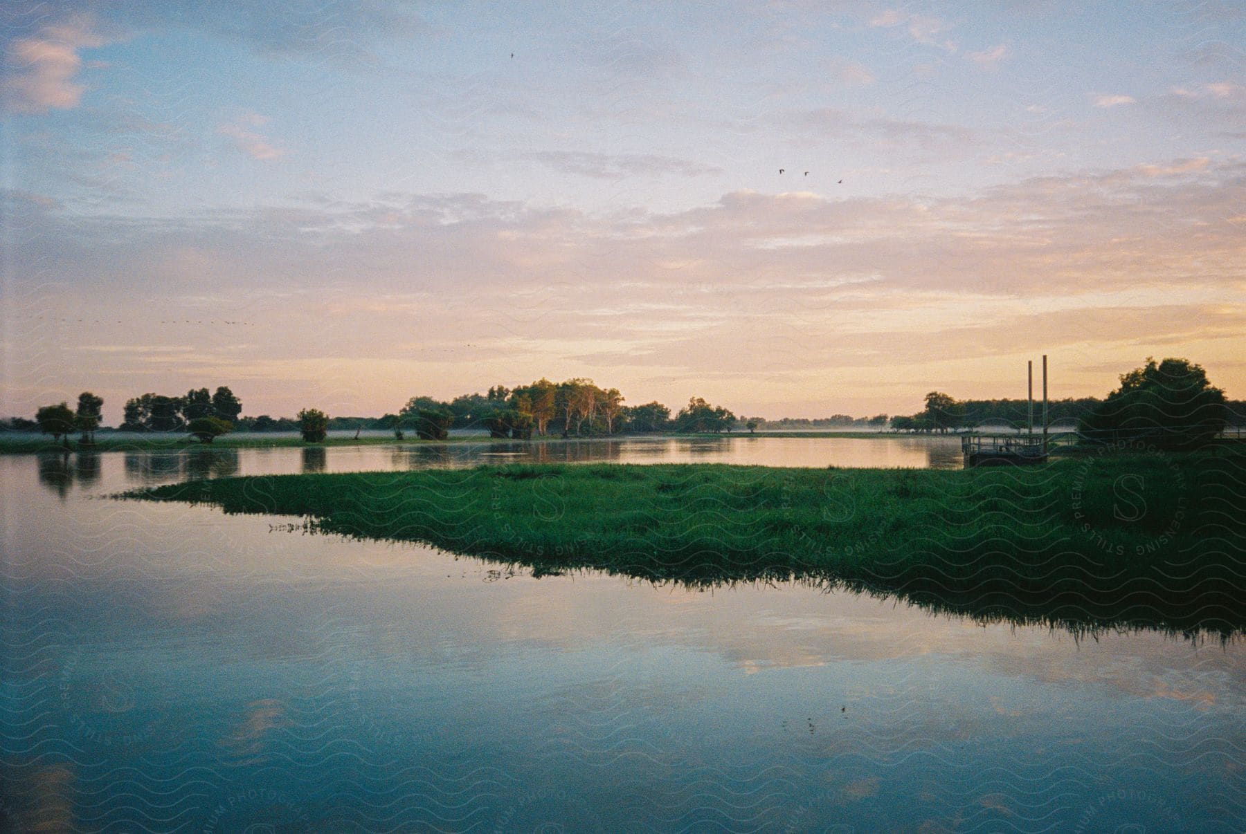 Orange trees a dock and lush green grass can be seen across from a lakeshore at sunset