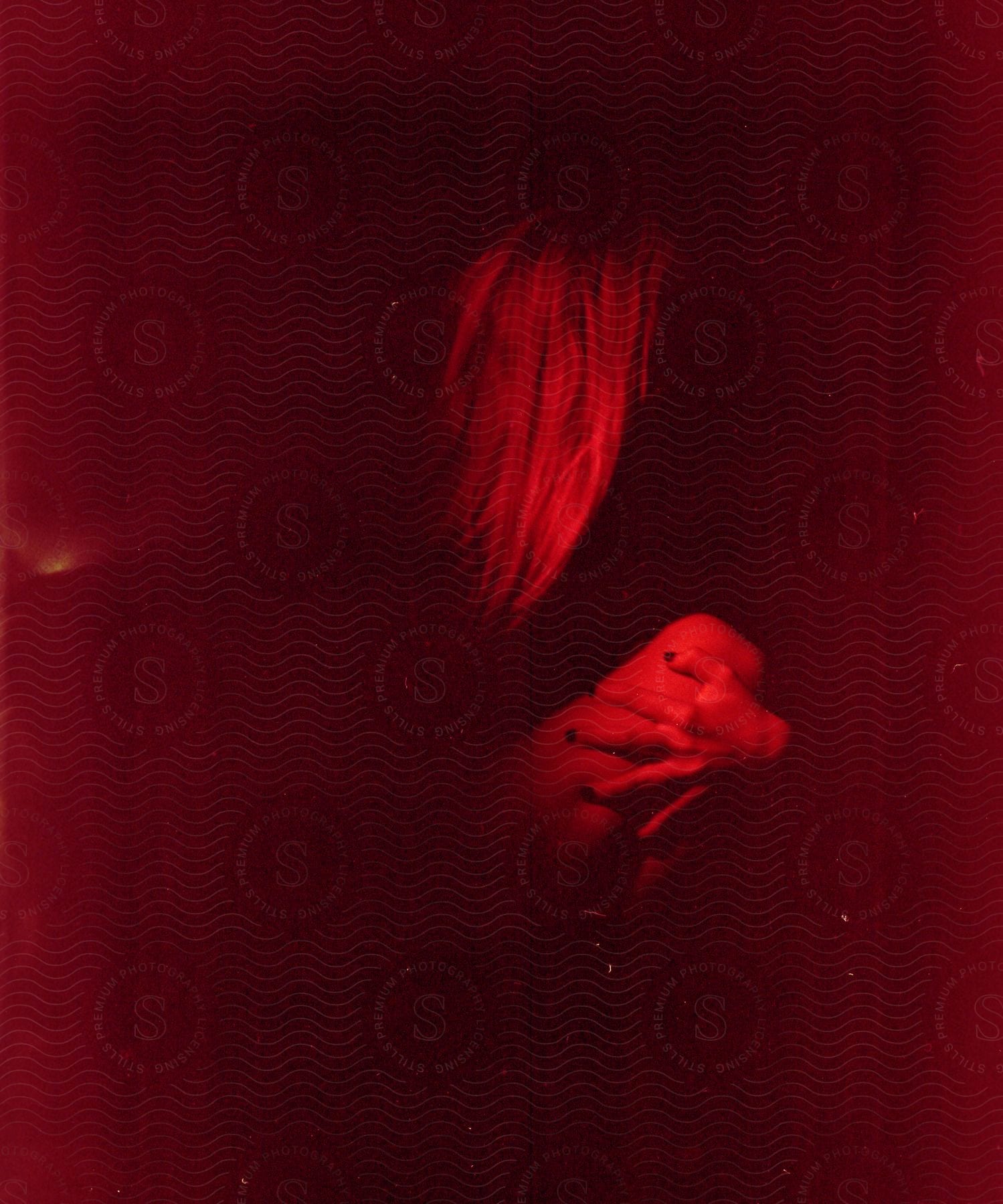 Blonde woman sitting on the floor with her hand against her leg under strong red light