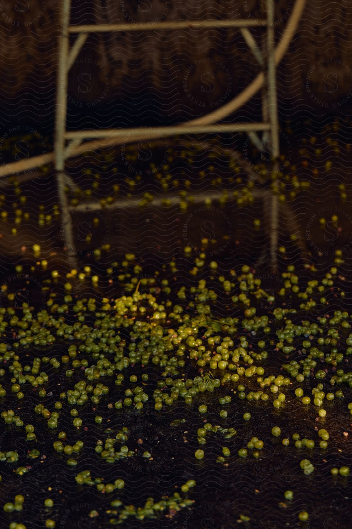 Grape pieces scattered on the floor of a room in a chaotic arrangement