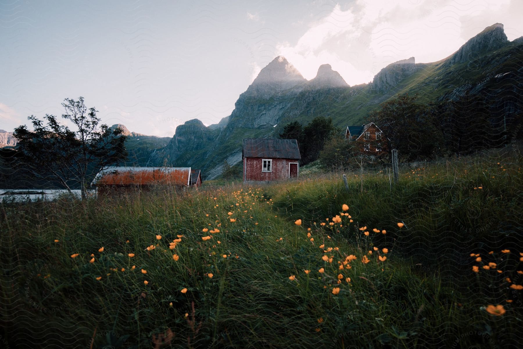 Small old houses in a grassy field near a mountain range and lake