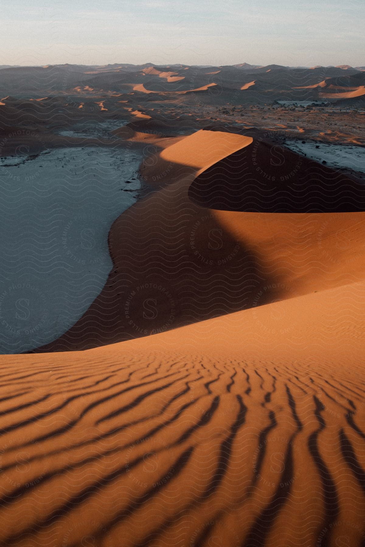 Stock photo of water pools between sand dunes illuminated by morning sun in namibias oldest dunes