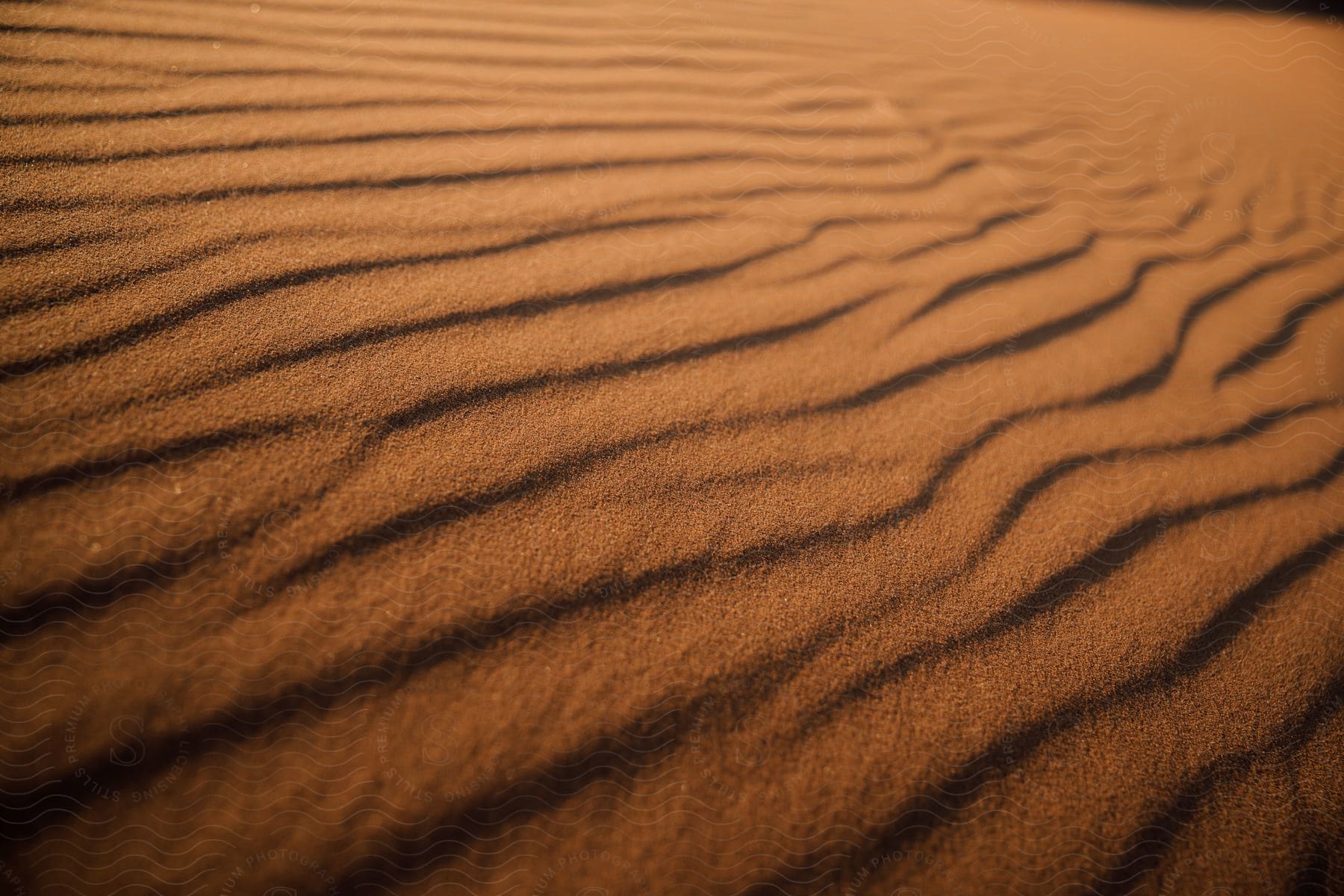 A brown natural landscape of desert dunes in namibia